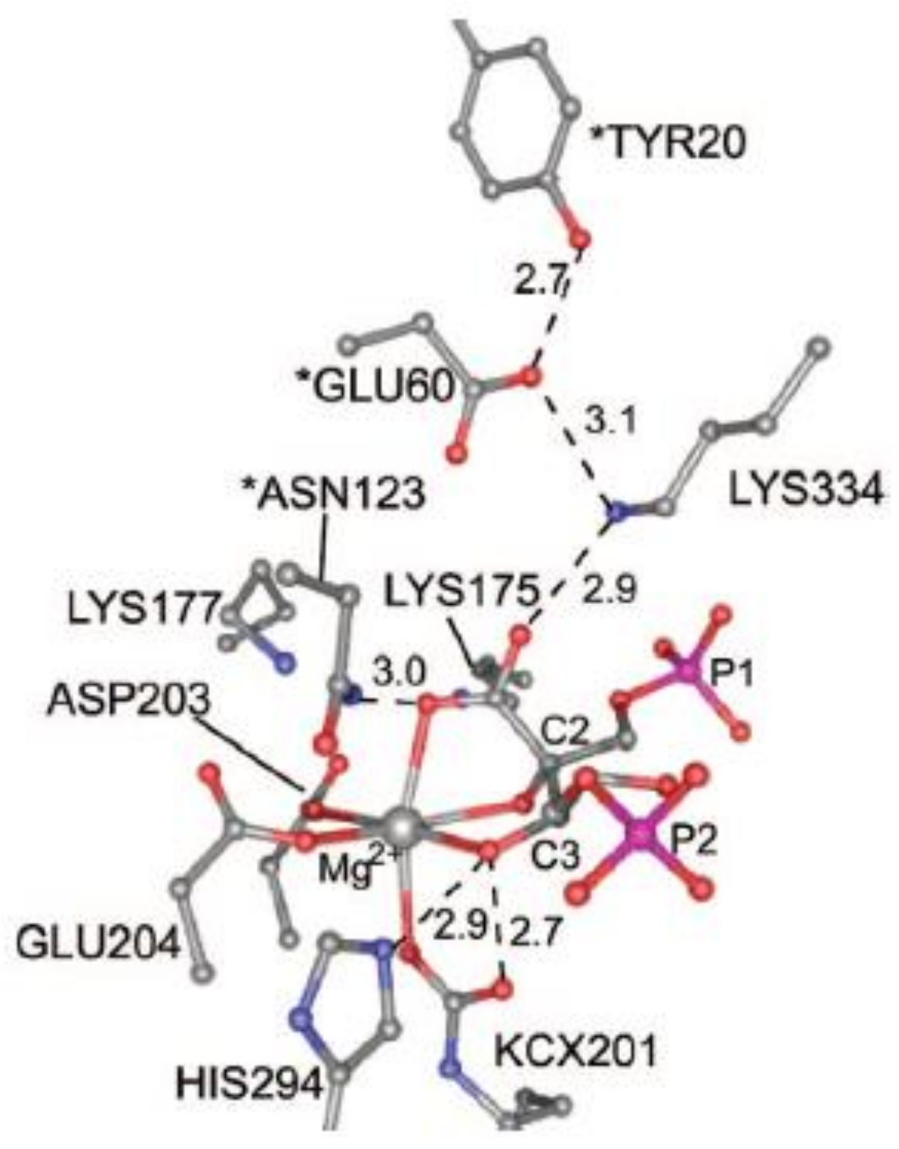 Catalysts 11 00813 g007