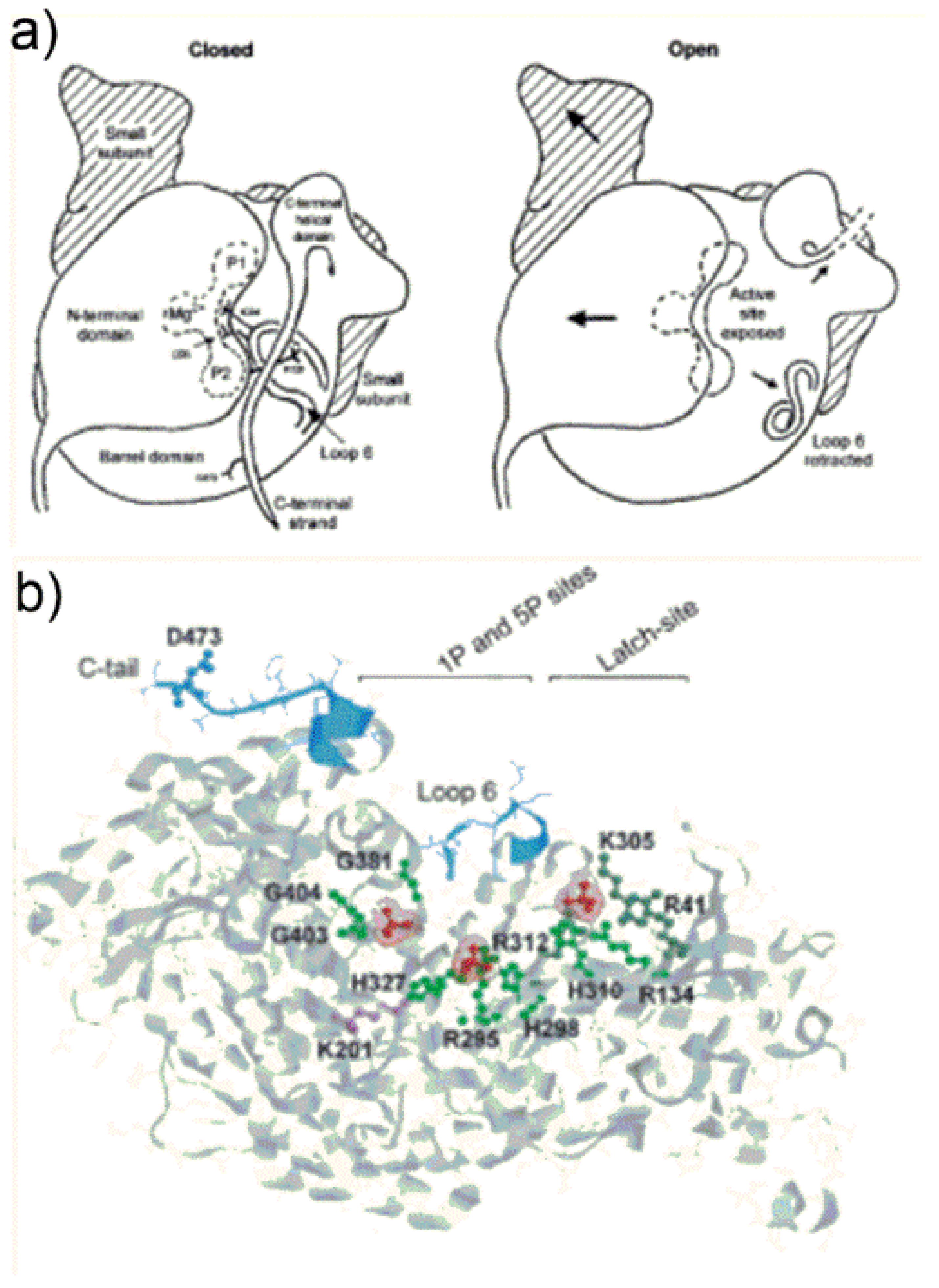 Catalysts 11 00813 g008