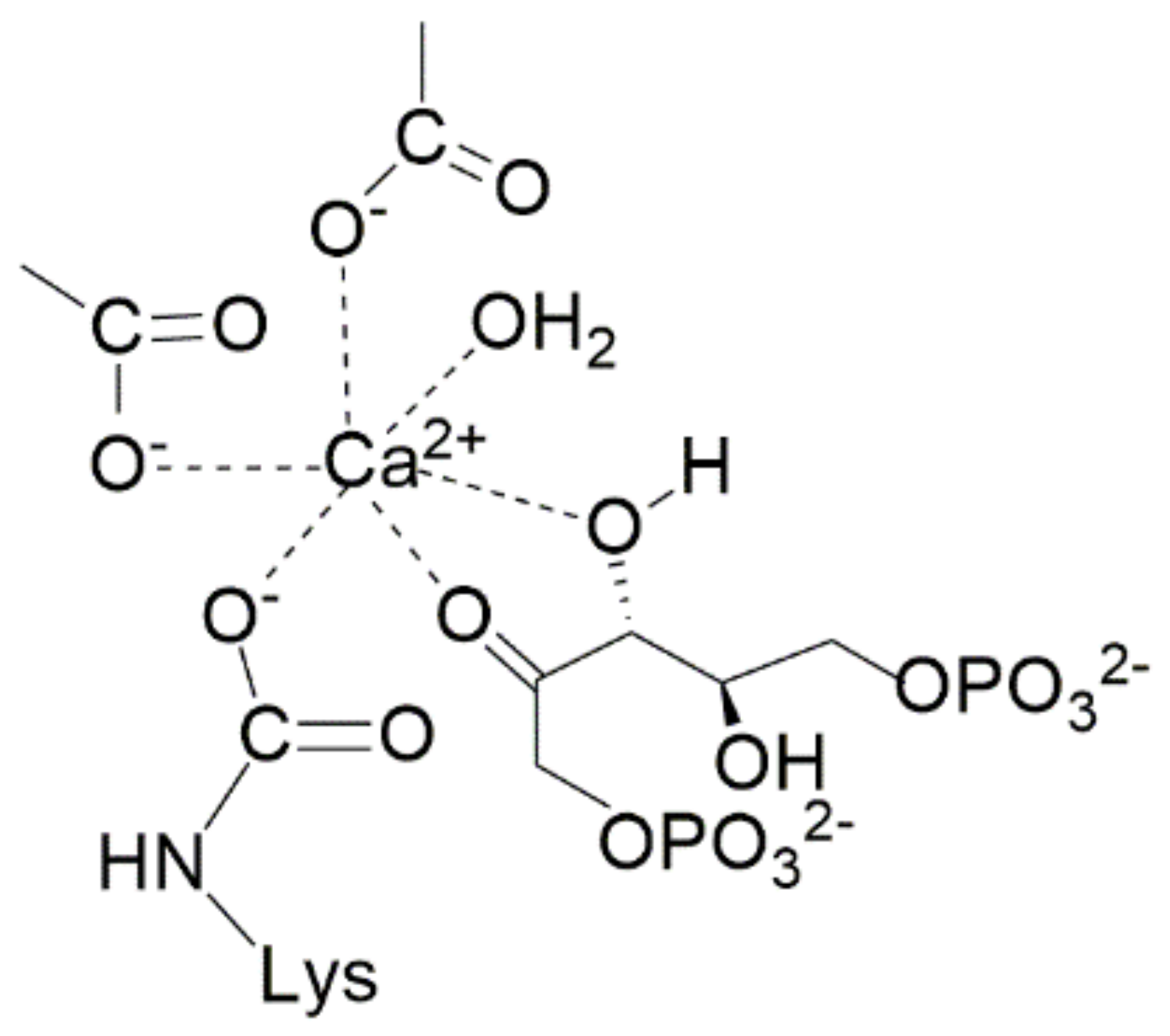 Catalysts 11 00813 g009