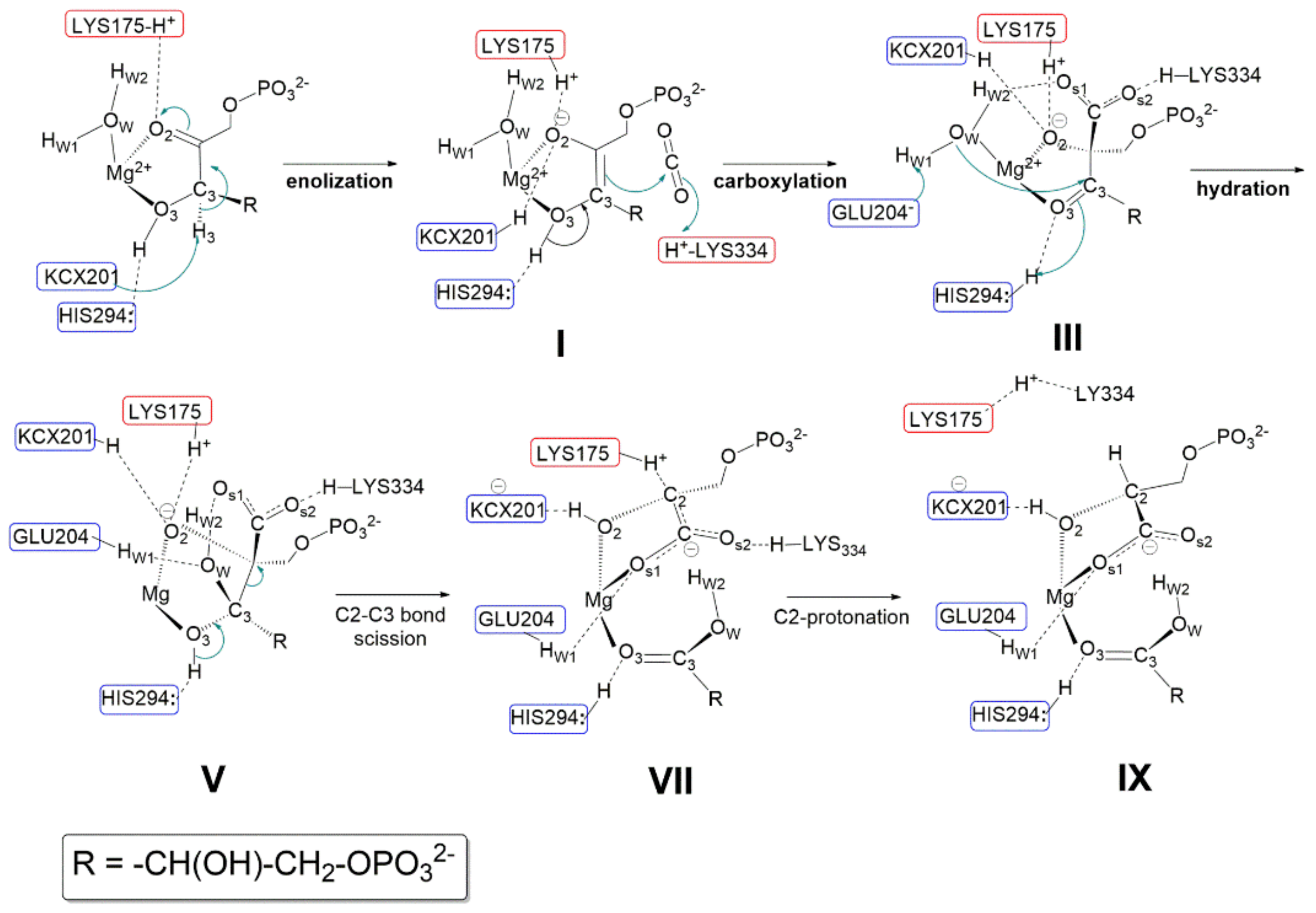 Catalysts 11 00813 g010