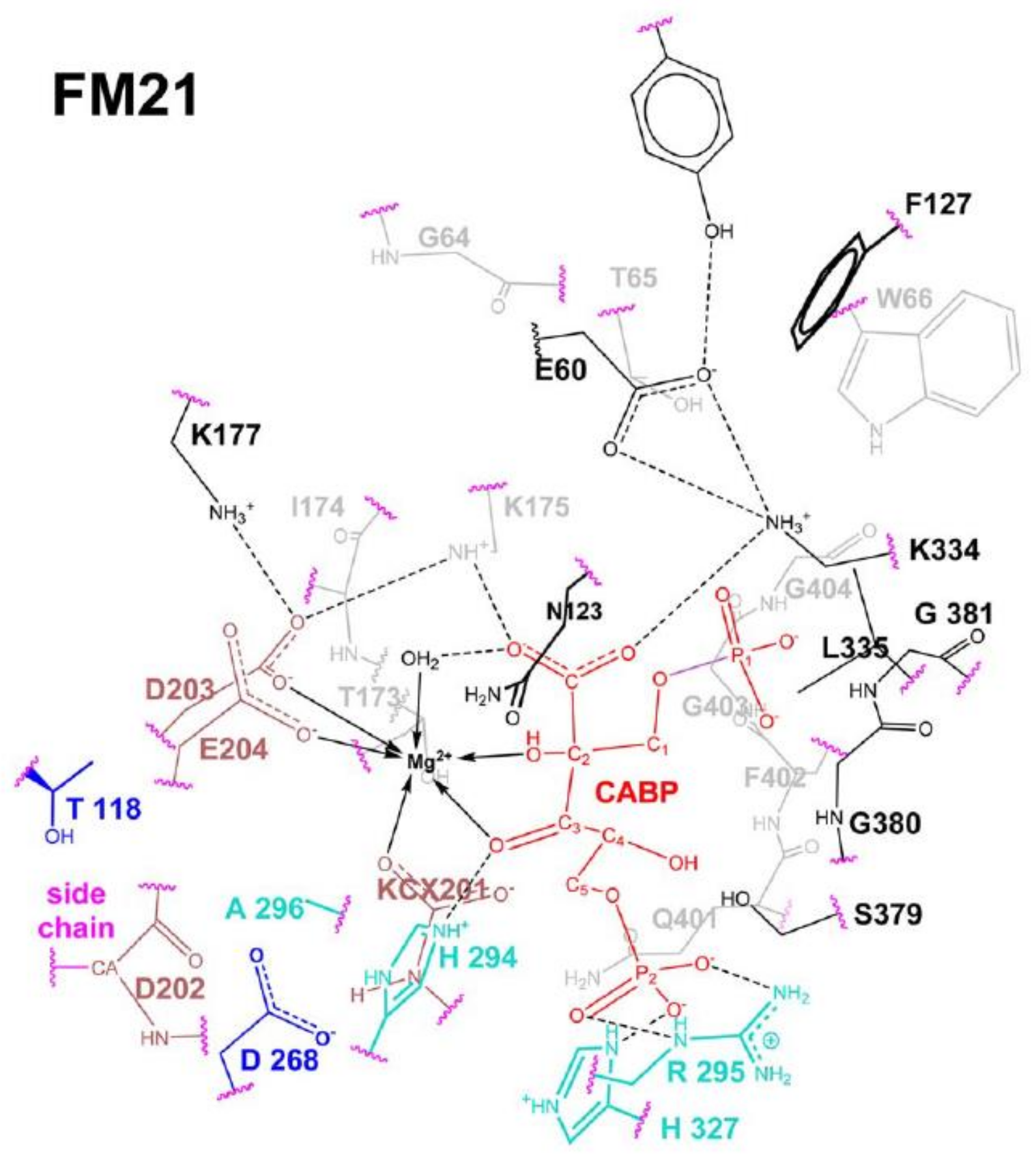 Catalysts 11 00813 g011
