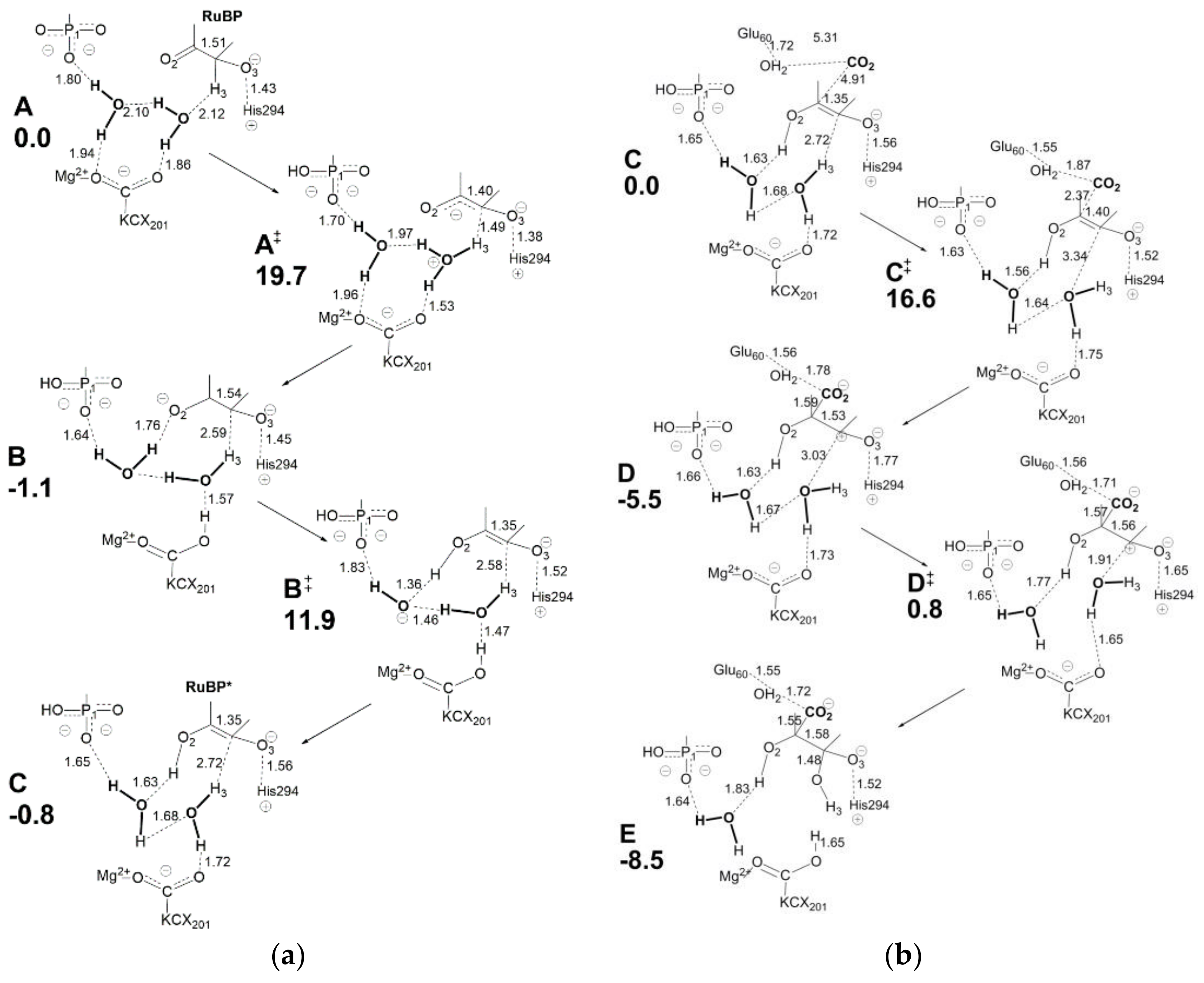Catalysts 11 00813 g014