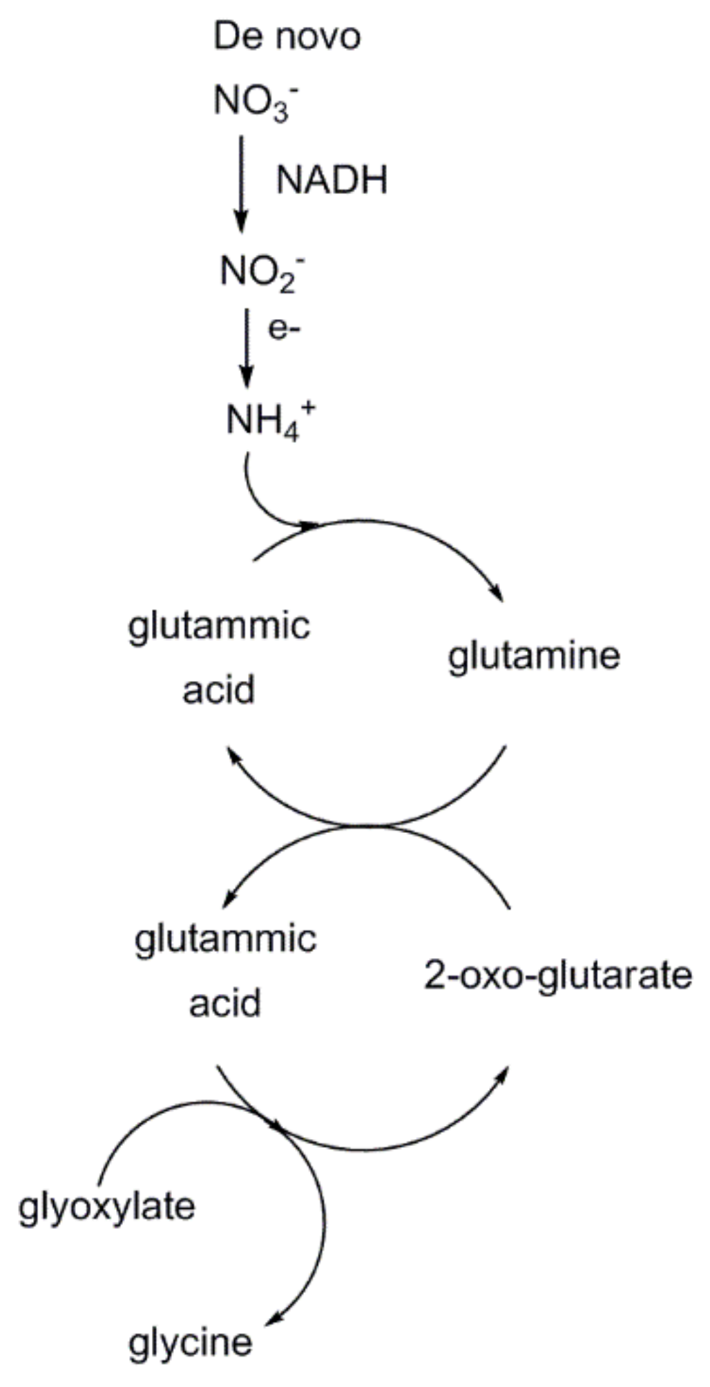 Catalysts 11 00813 g019