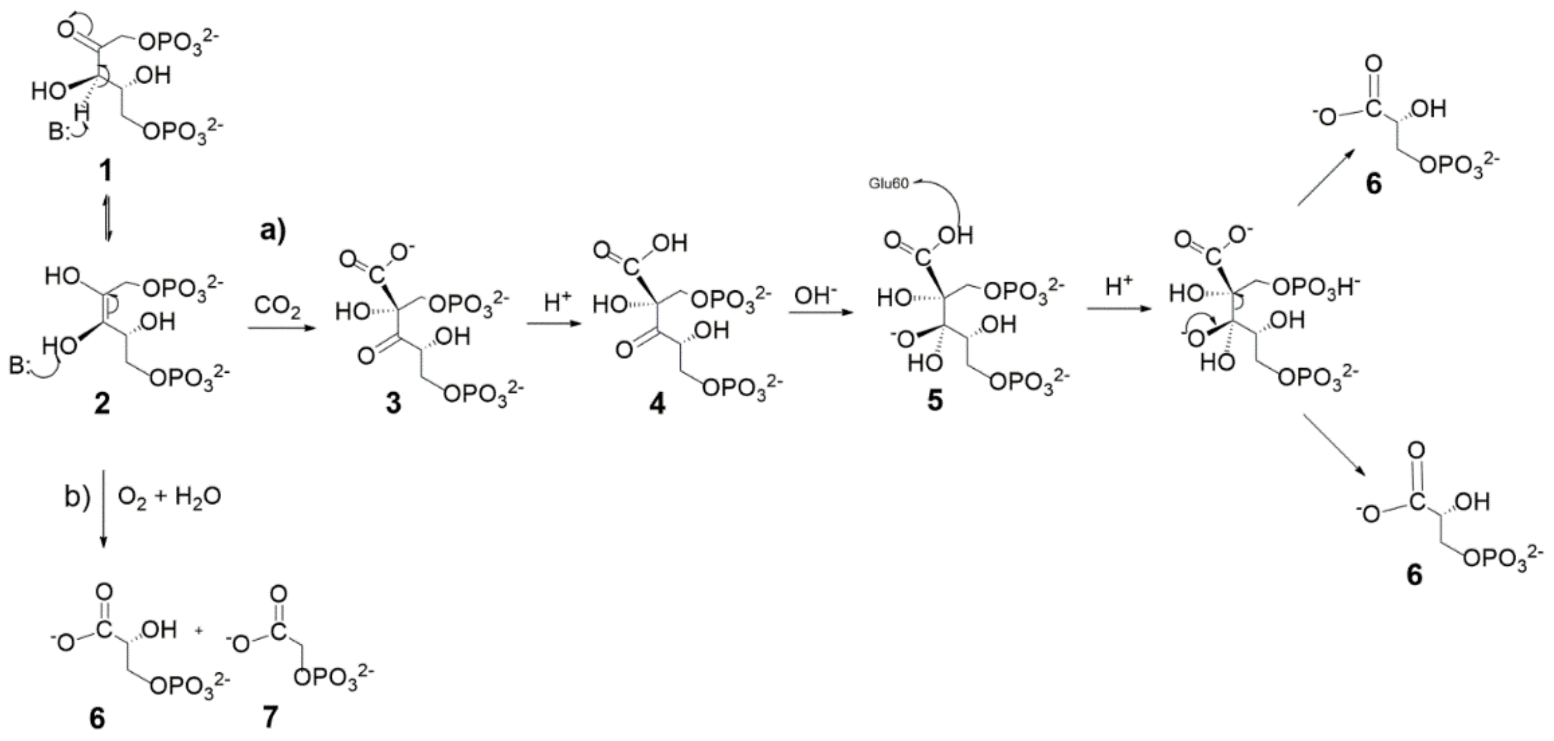 Catalysts 11 00813 sch001