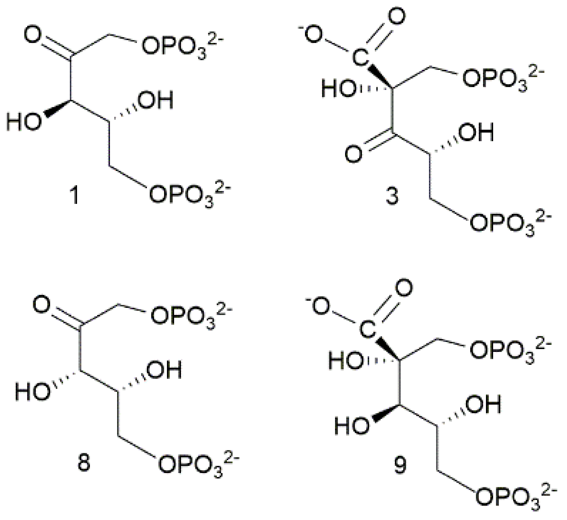 Catalysts 11 00813 sch002