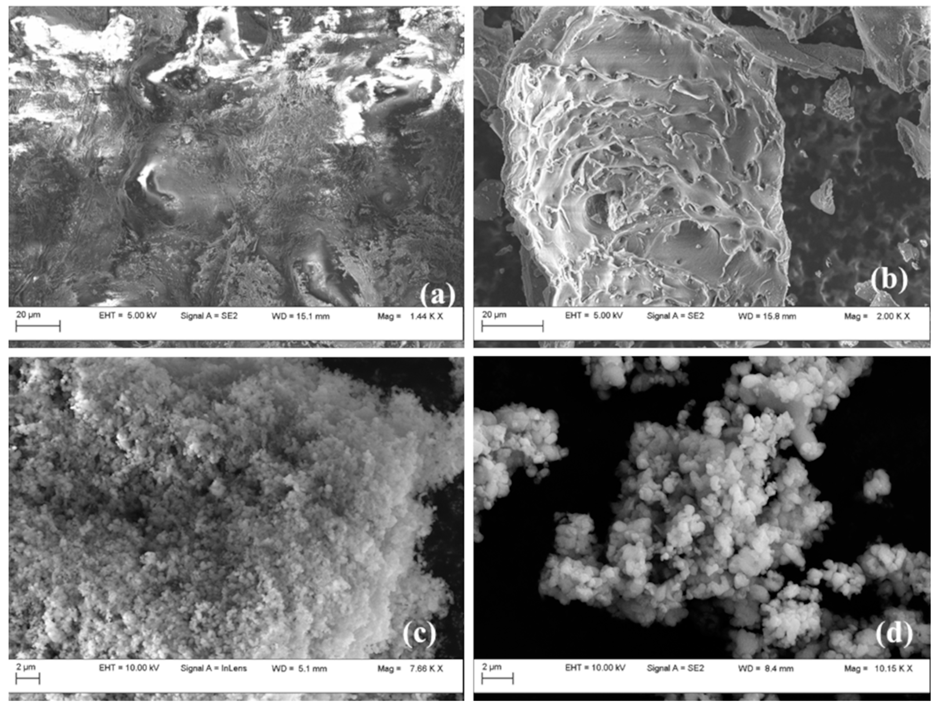Catalysts 11 00815 g005