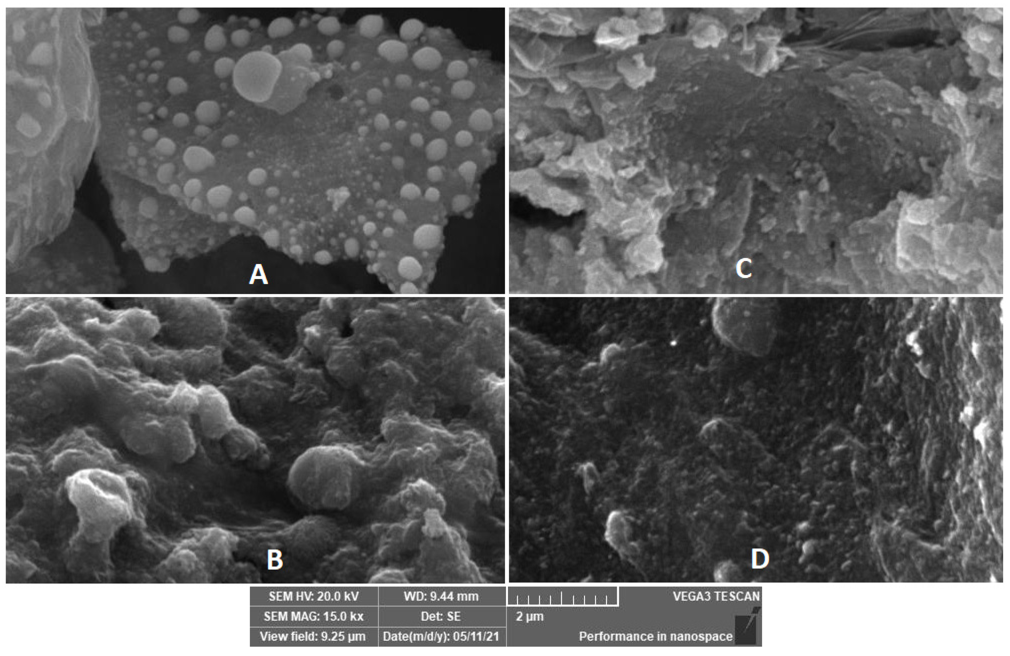 Catalysts 11 00820 g002