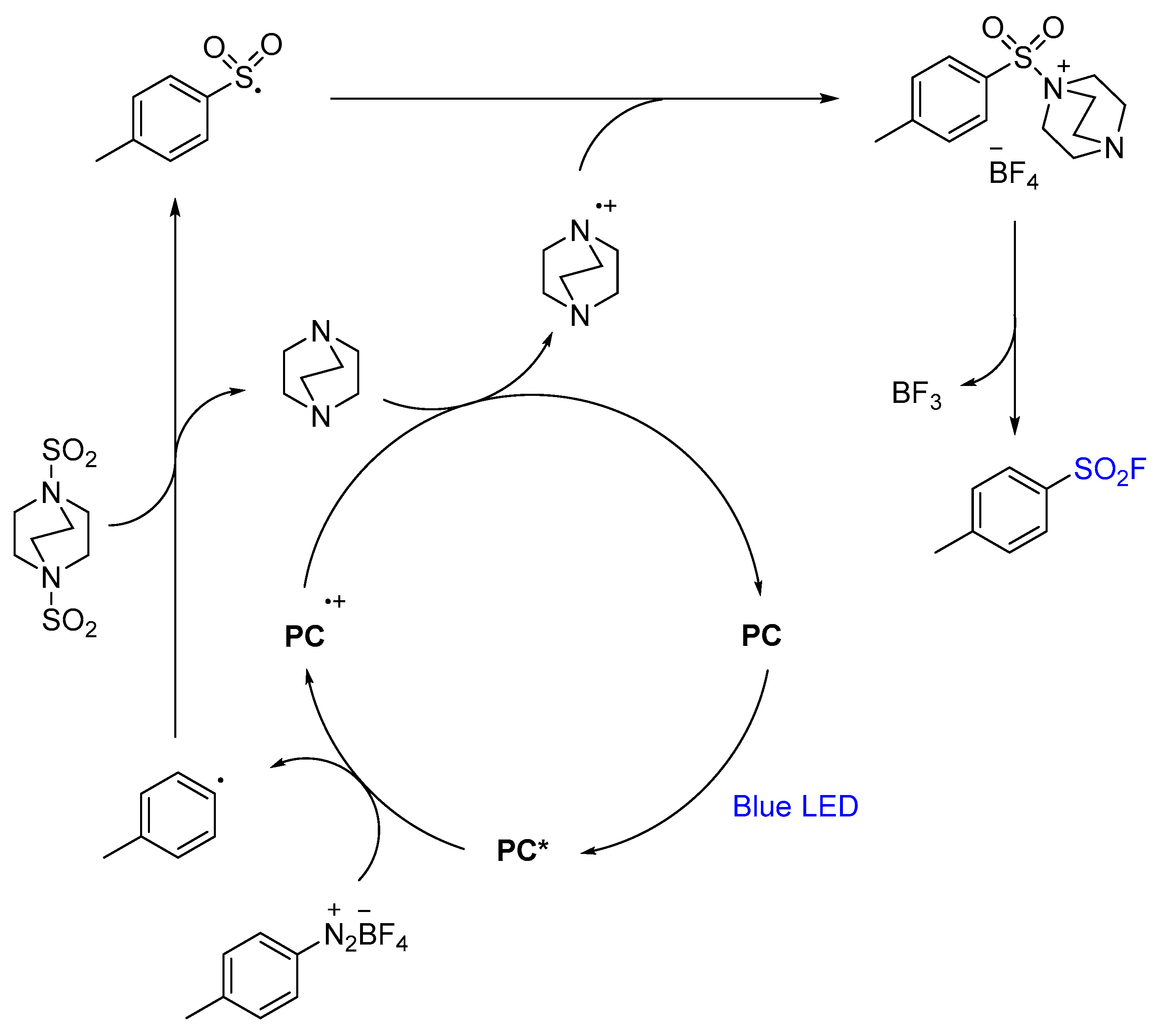 Catalysts 11 00830 sch013
