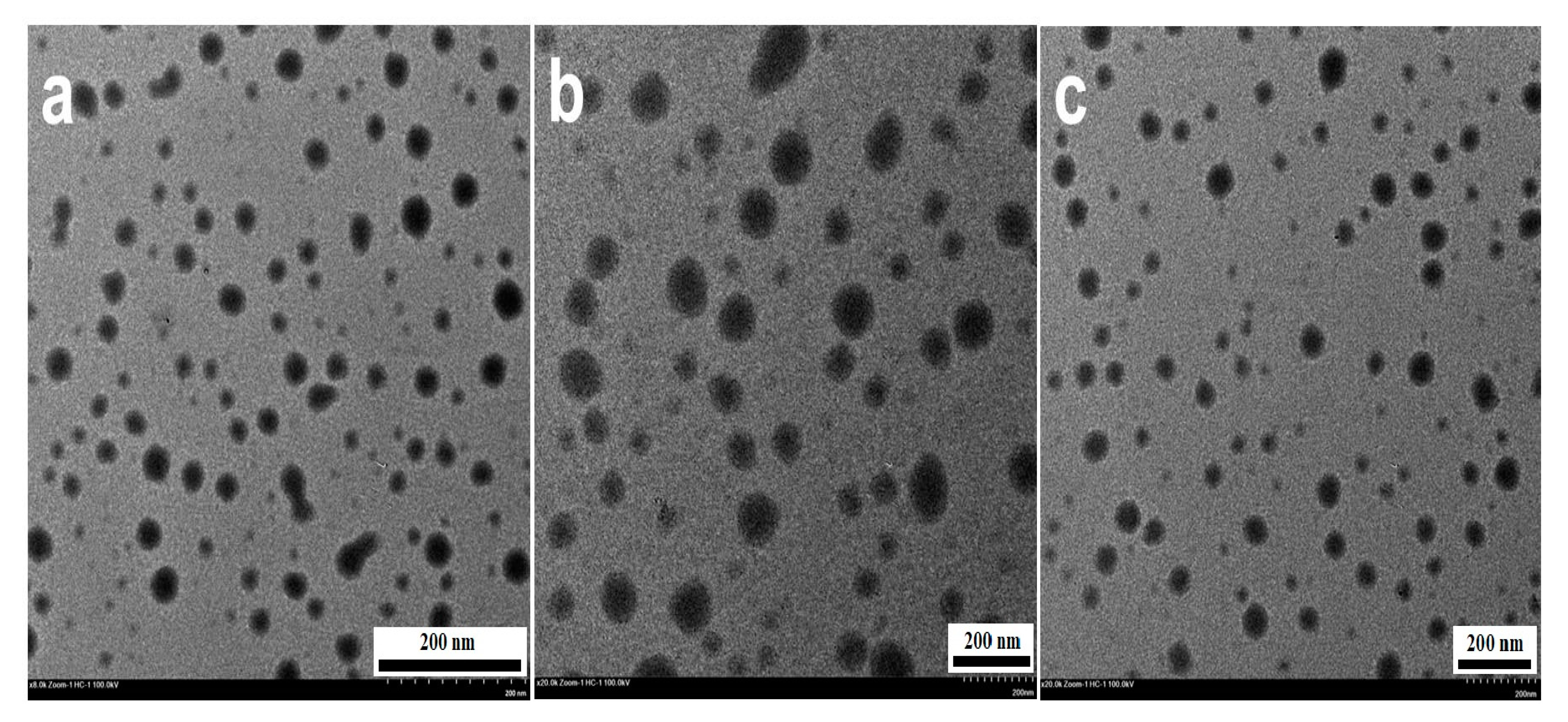 Catalysts 11 00831 g004