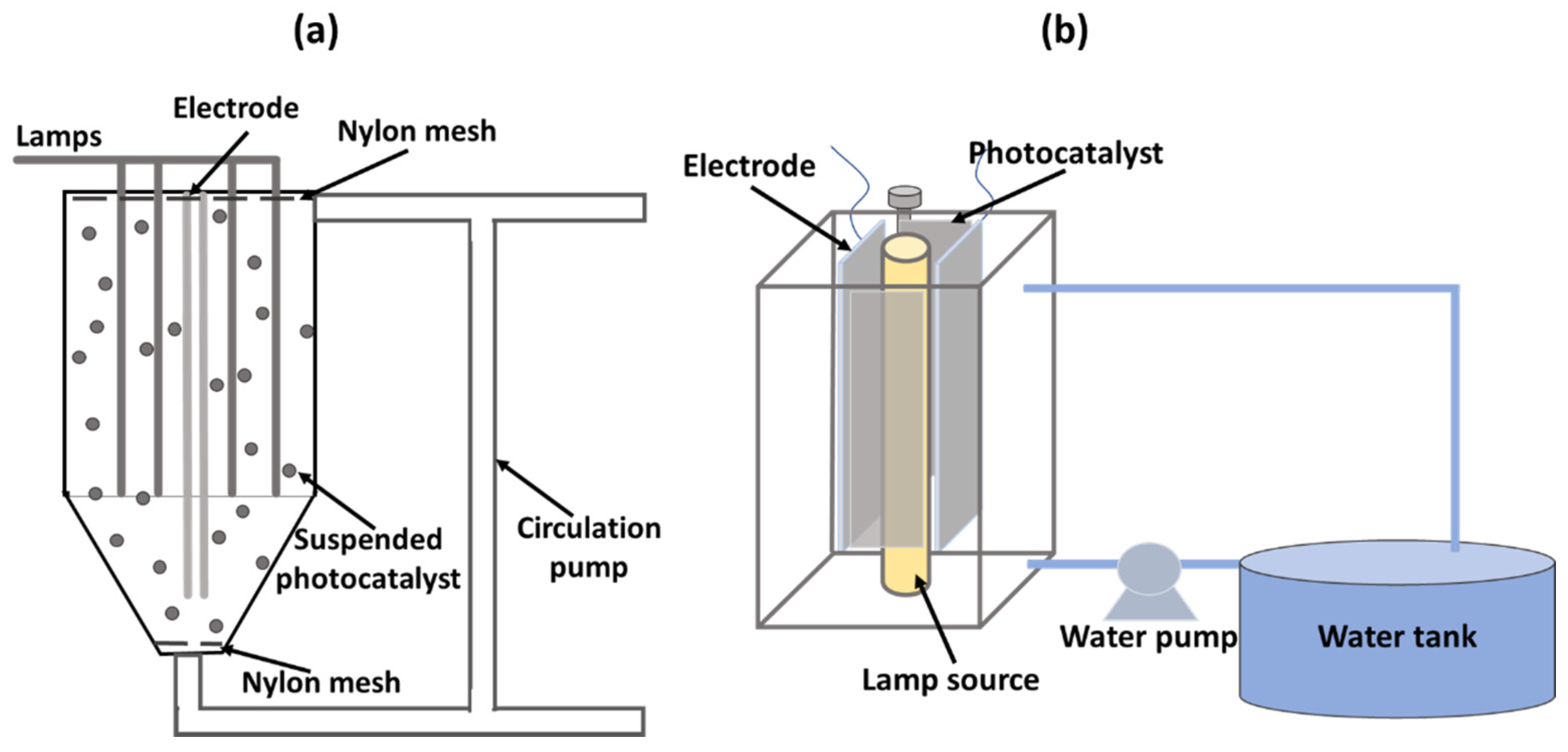 Catalysts 11 00834 g005