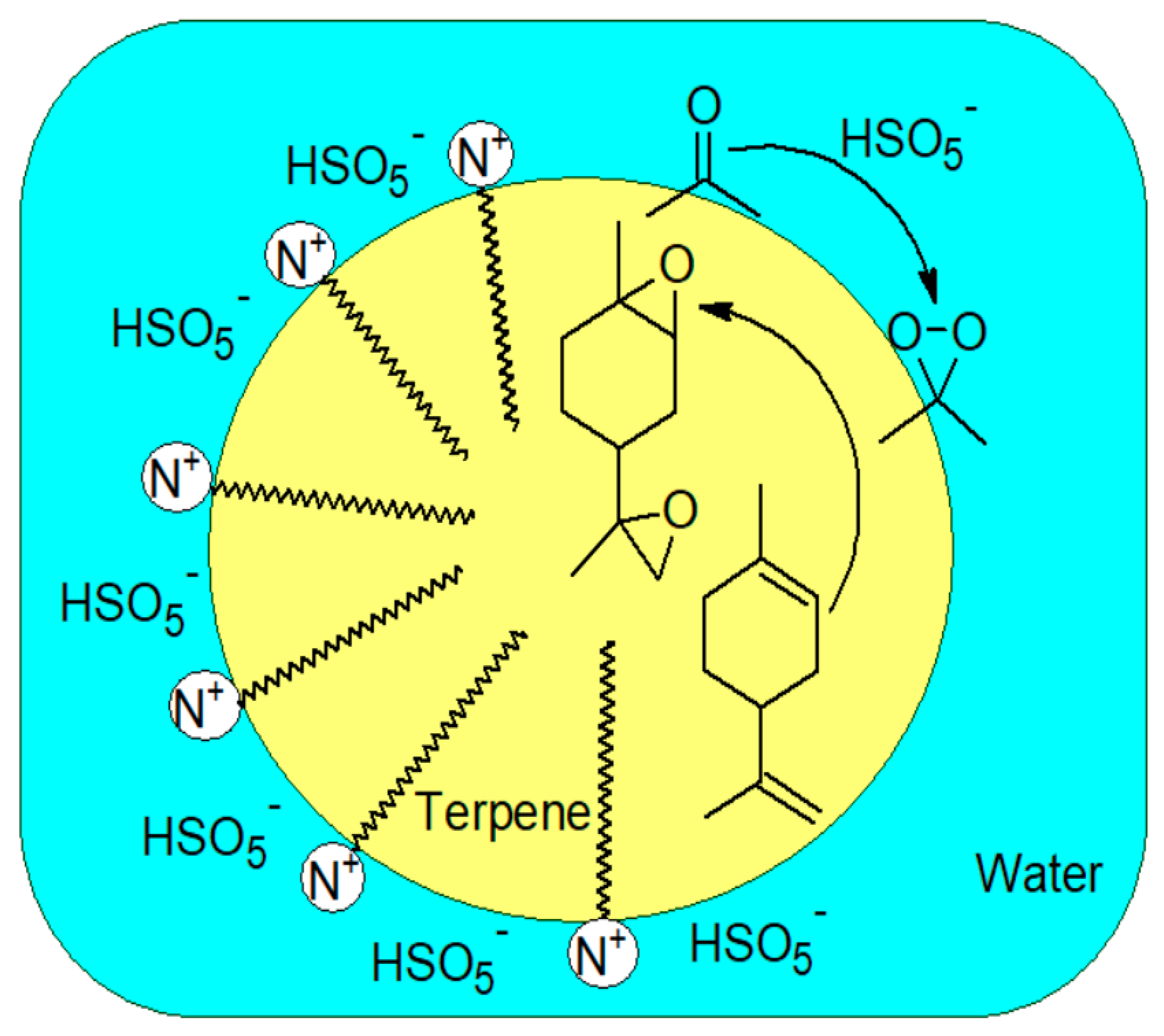 Catalysts 11 00847 g002