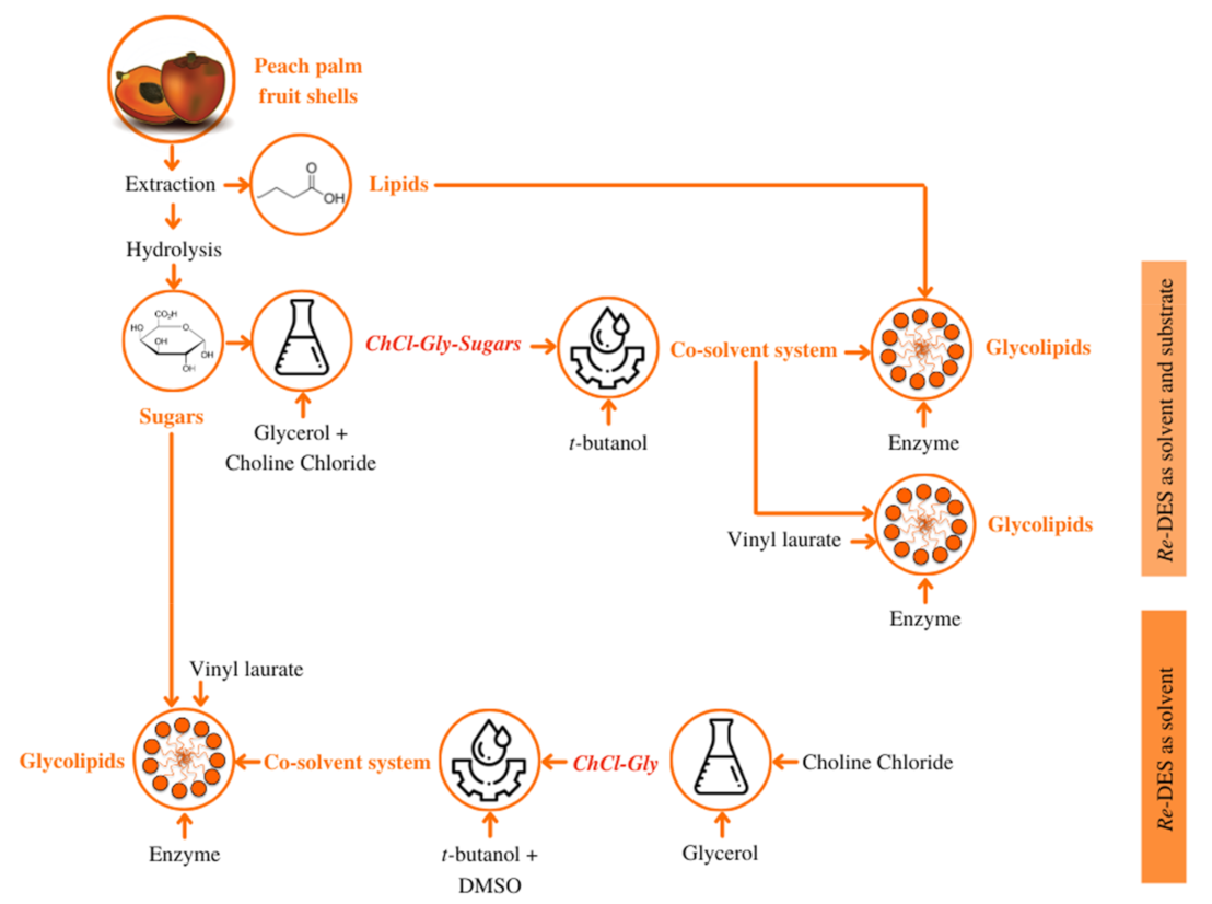 Catalysts 11 00853 g002