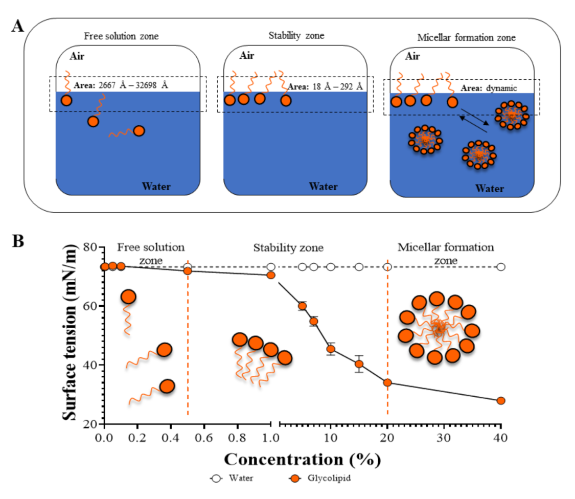 Catalysts 11 00853 g003