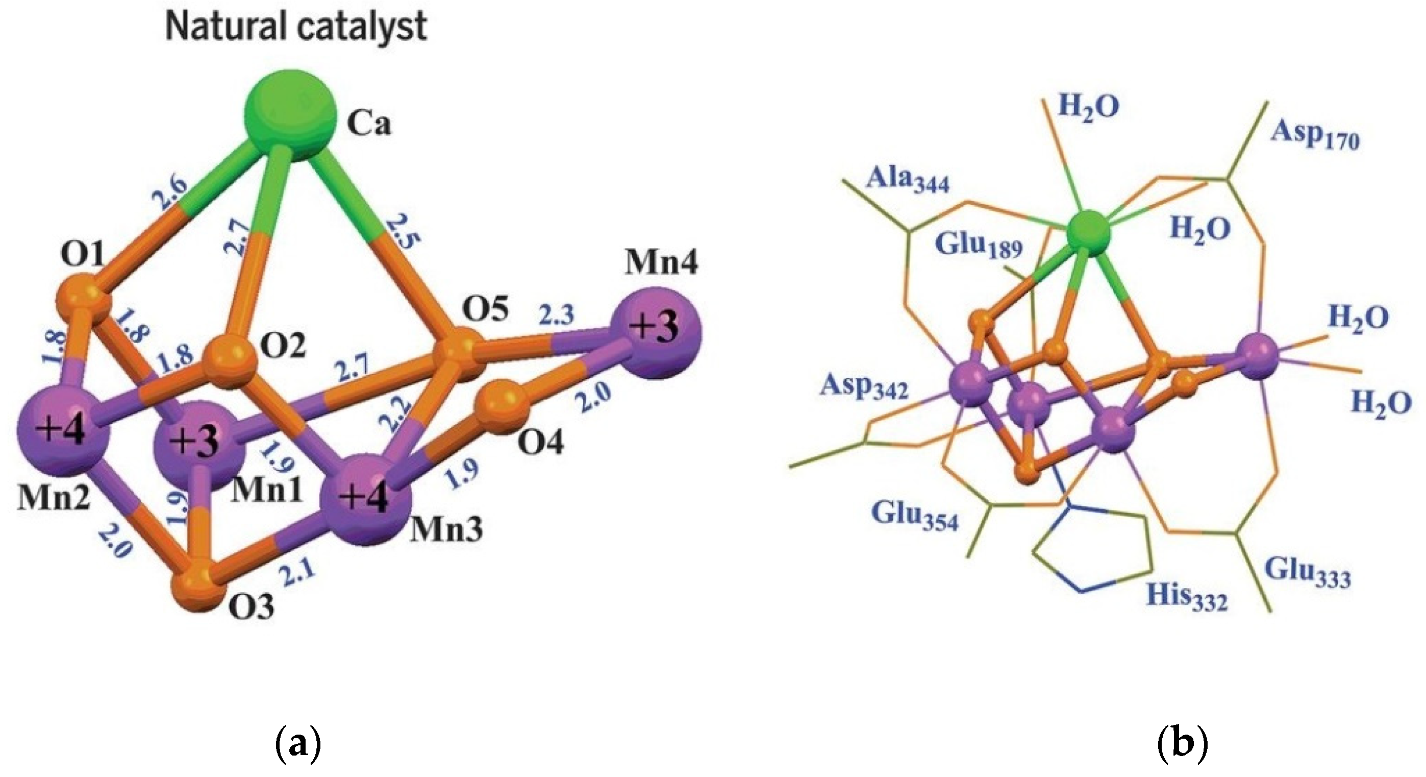 Catalysts 11 00856 g001