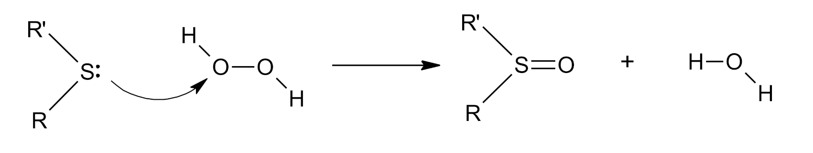 Catalysts 11 00867 sch001