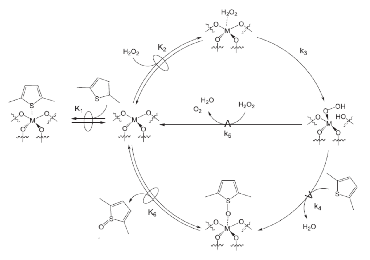 Catalysts 11 00867 sch005