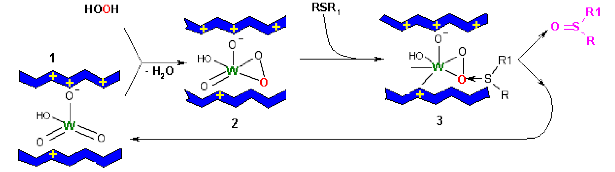 Catalysts 11 00867 sch006