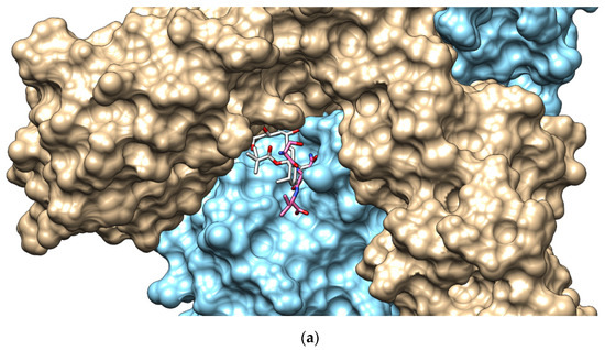 Catalysts 11 00873 g0a2a 550