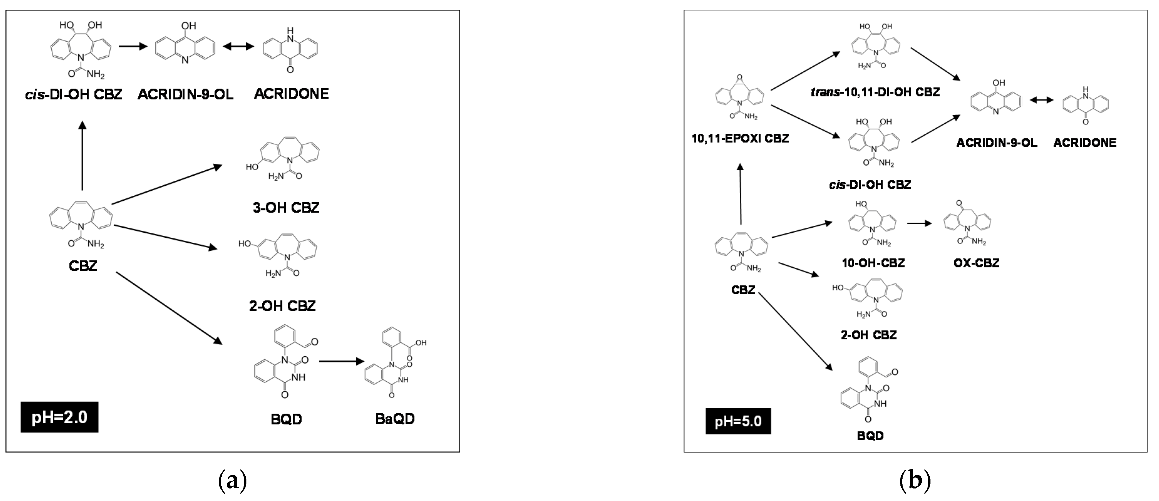 Catalysts 11 00894 g003 Catalysts 11 00894 g003