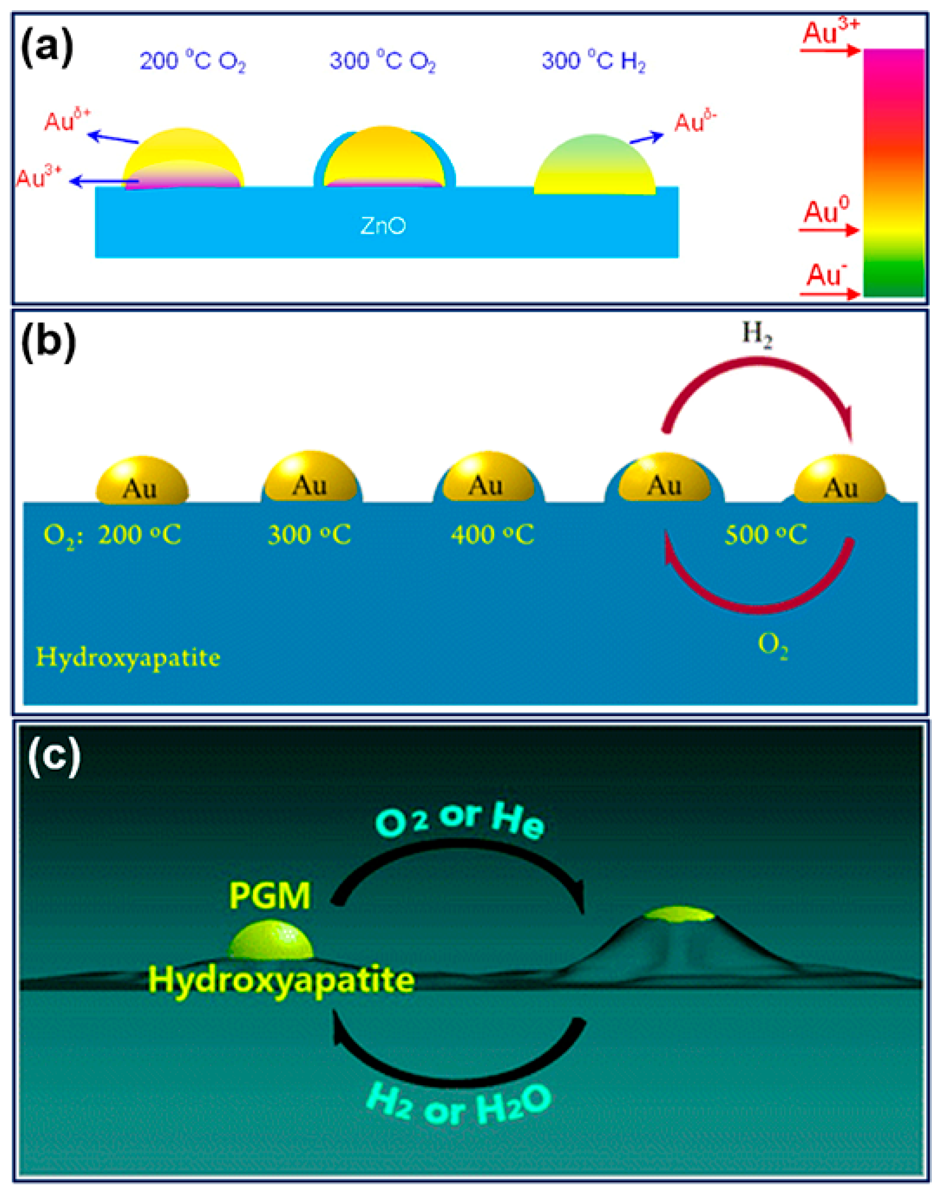 Catalysts 11 00896 g002