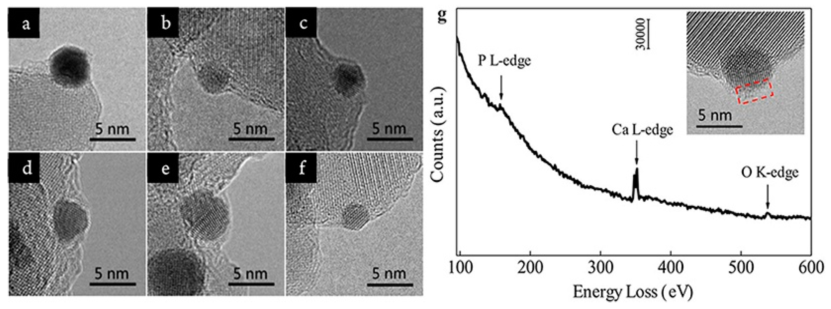 Catalysts 11 00896 g005