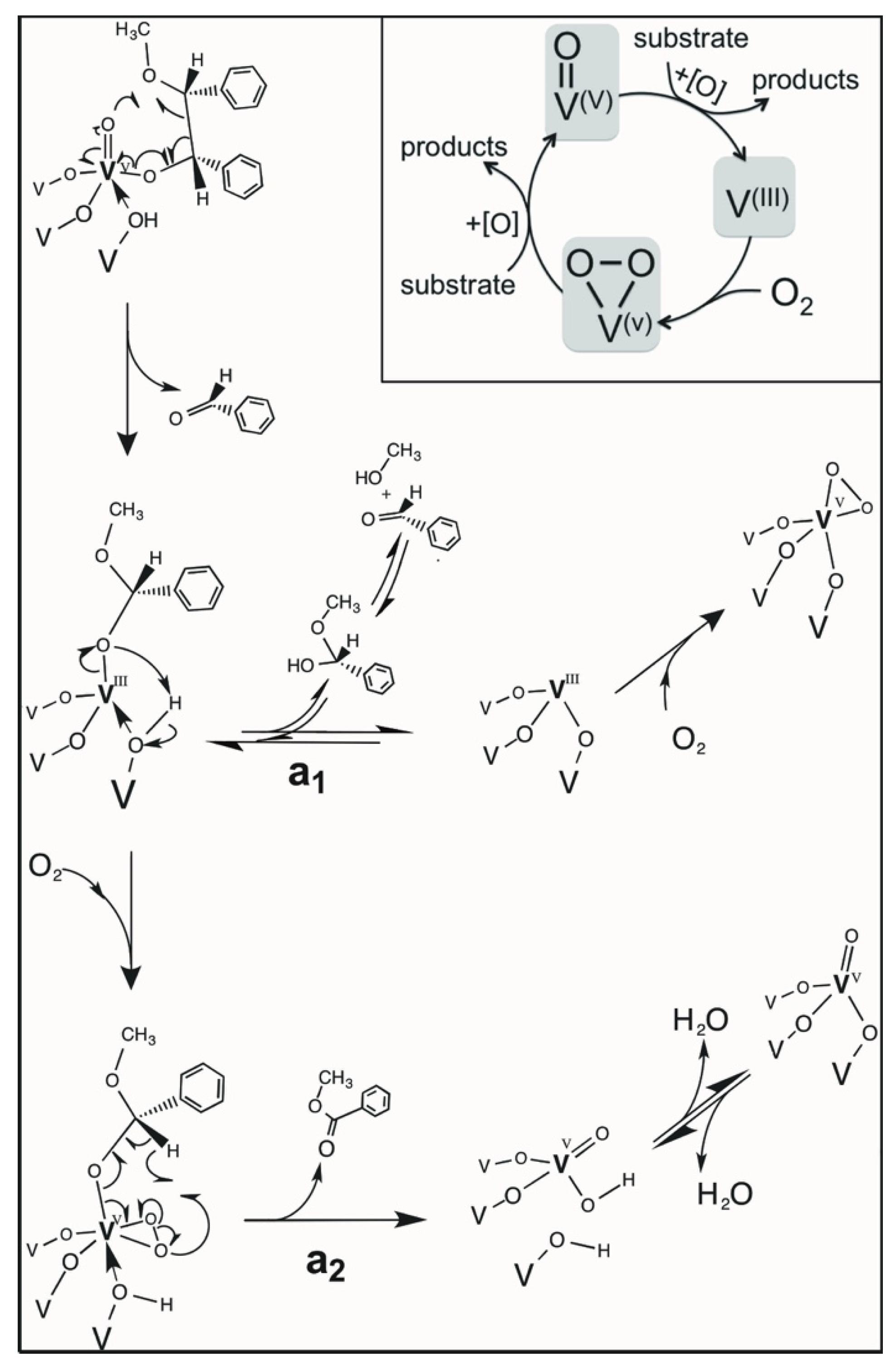 Catalysts 11 00901 sch002