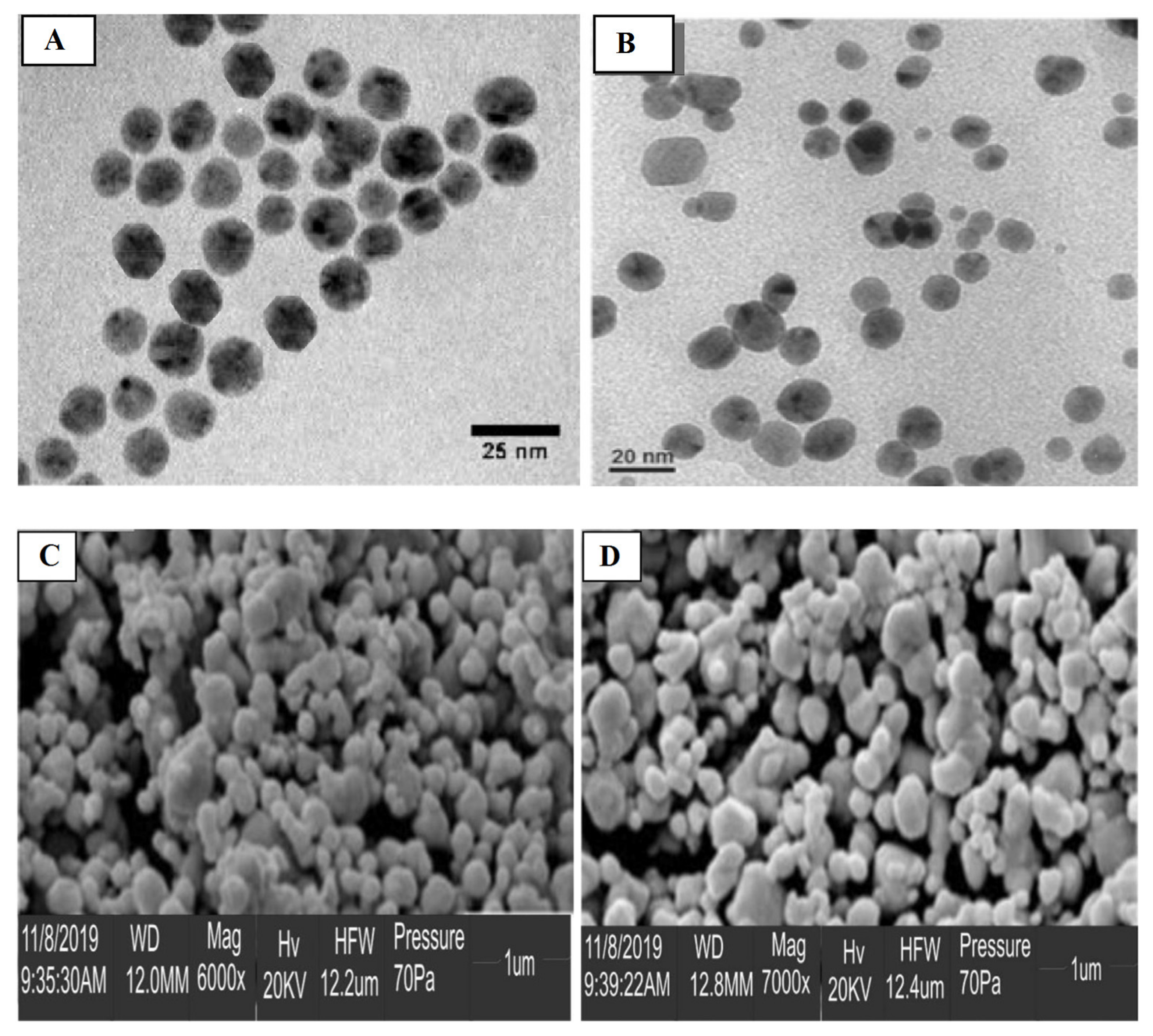 Catalysts 11 00902 g004