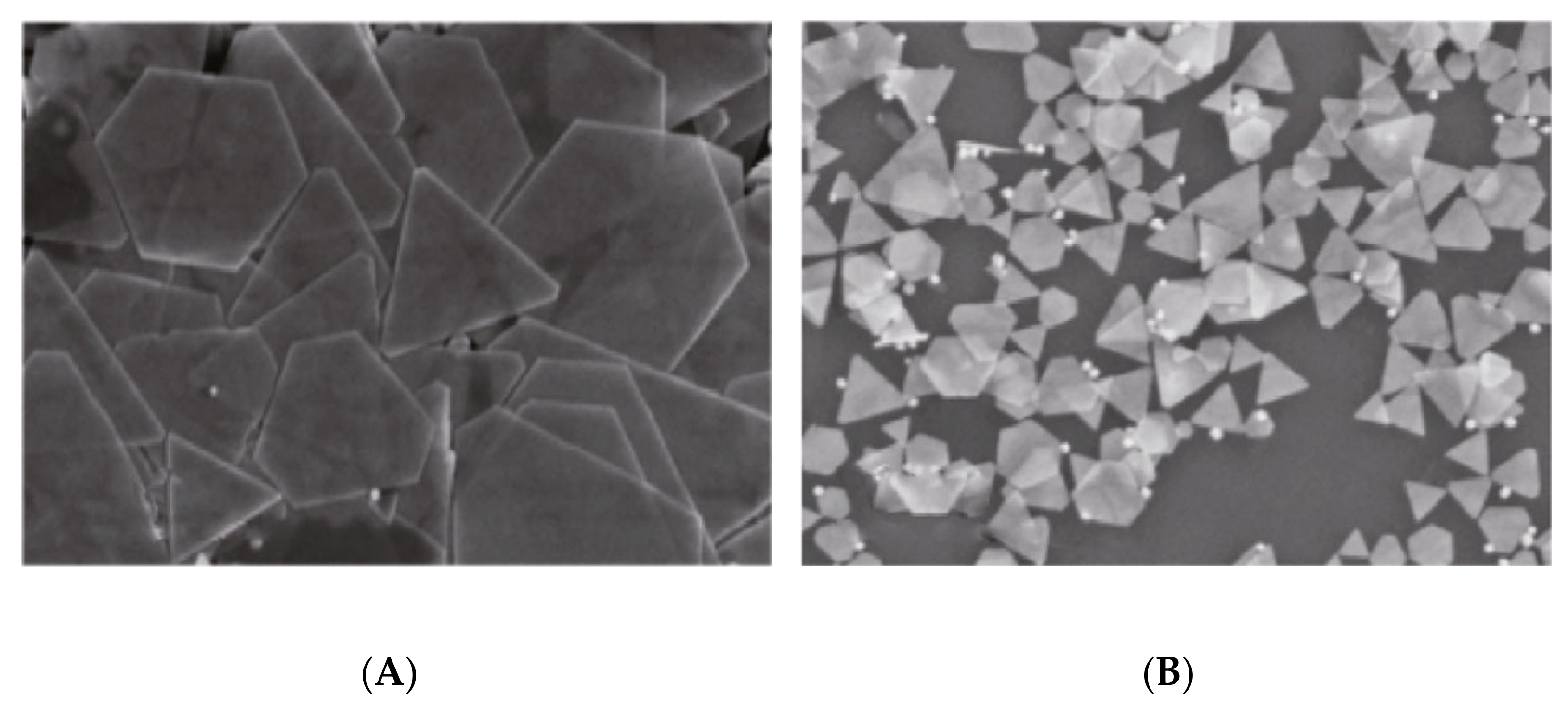 Catalysts 11 00902 g005