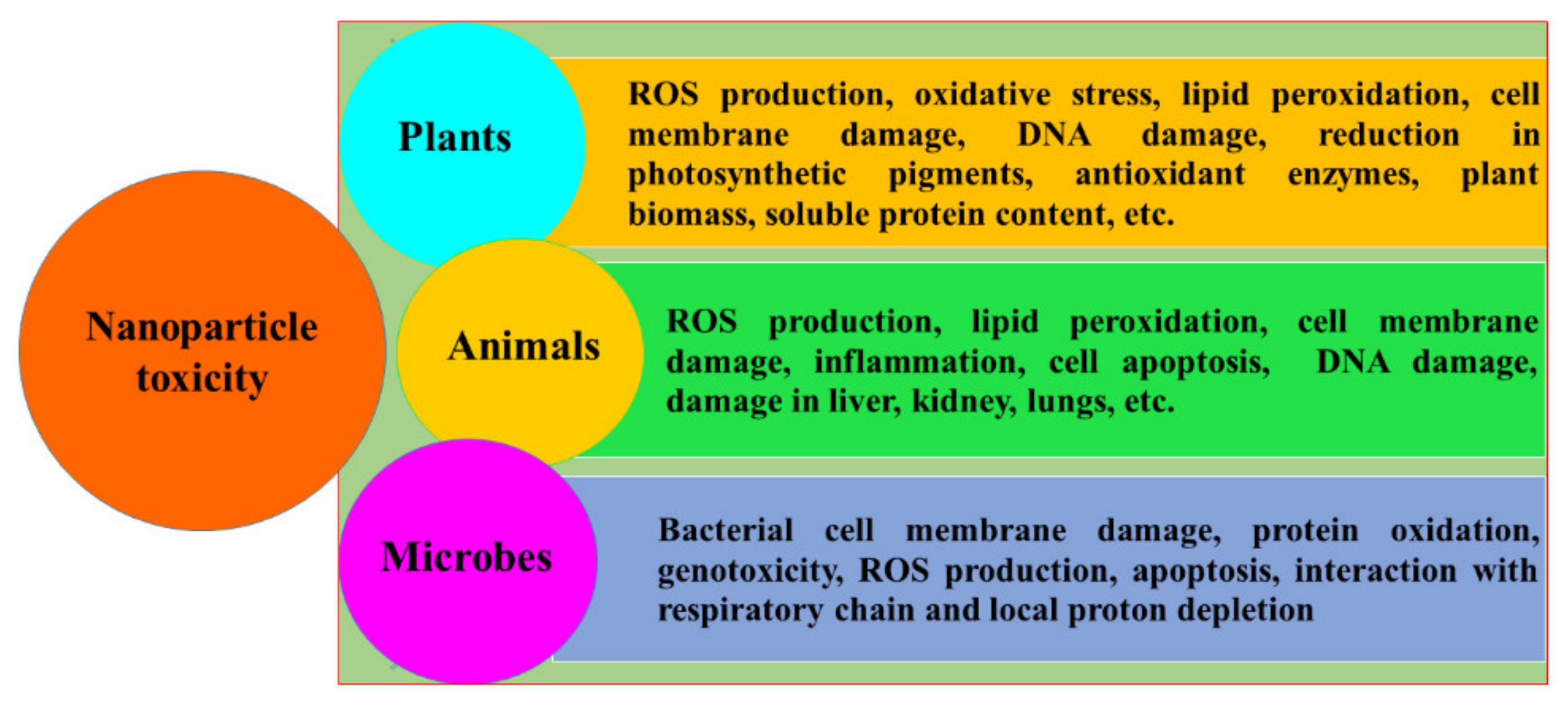 Catalysts 11 00902 g007