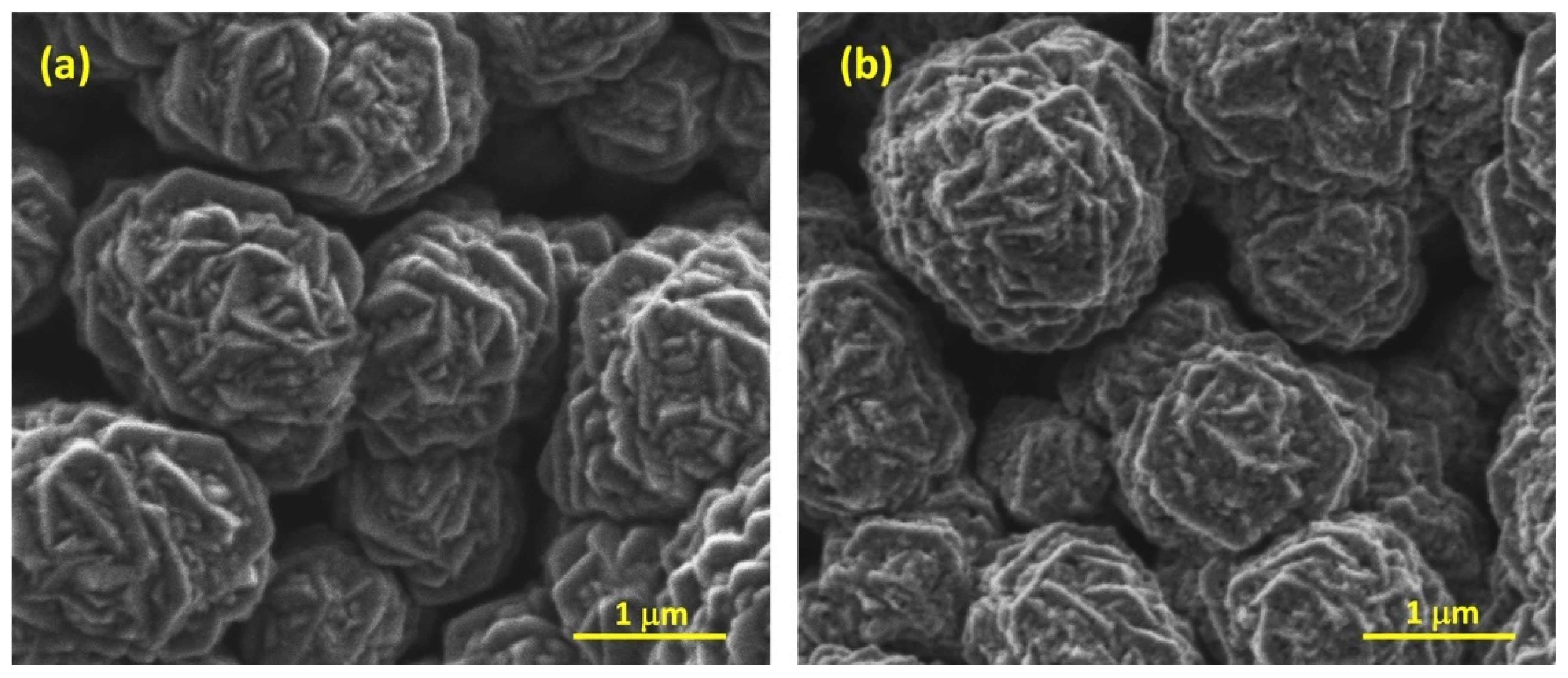 Catalysts 11 00905 g002 Catalysts 11 00905 g002