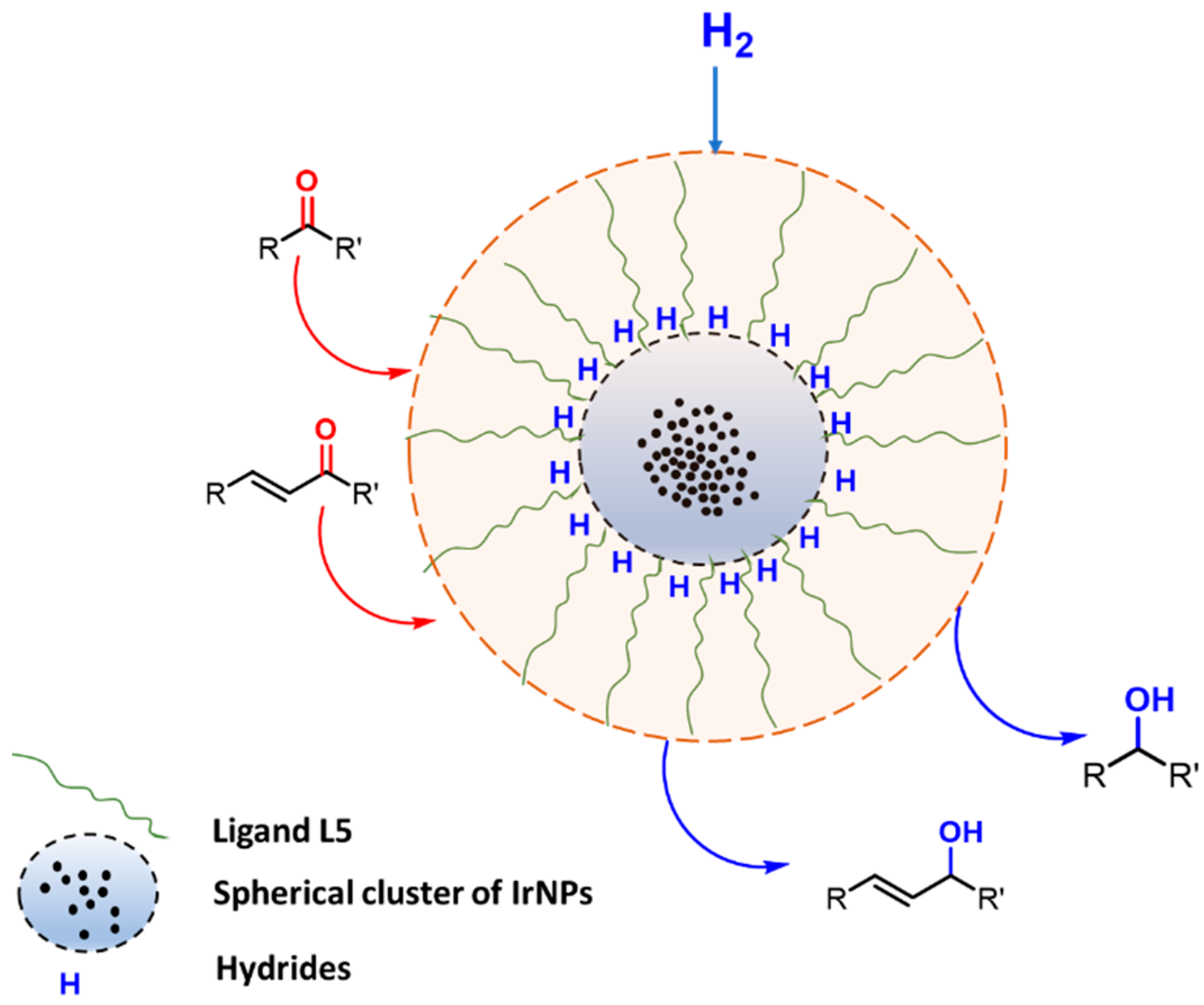 Catalysts 11 00914 g004