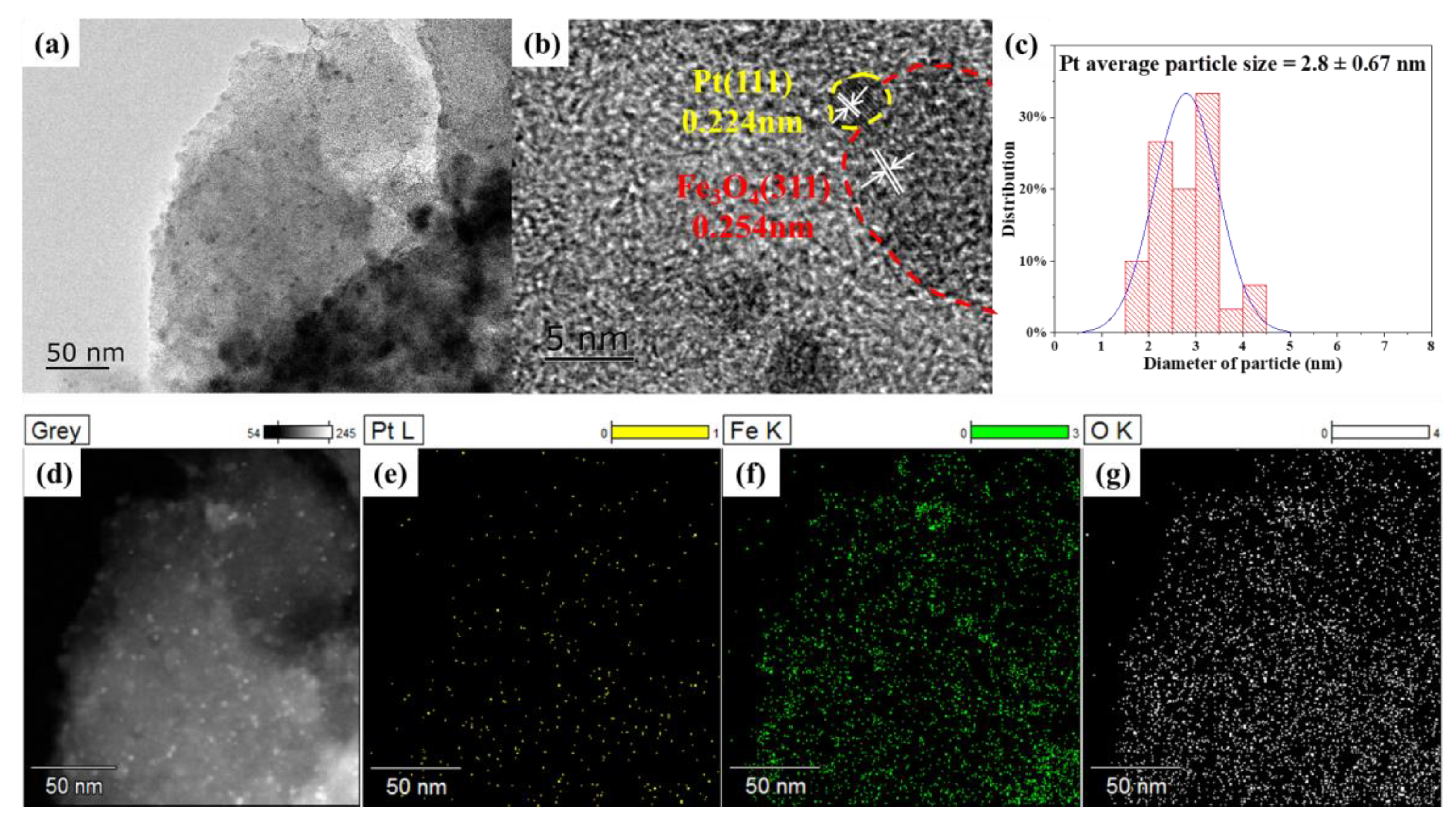 Catalysts 11 00915 g002 Catalysts 11 00915 g002