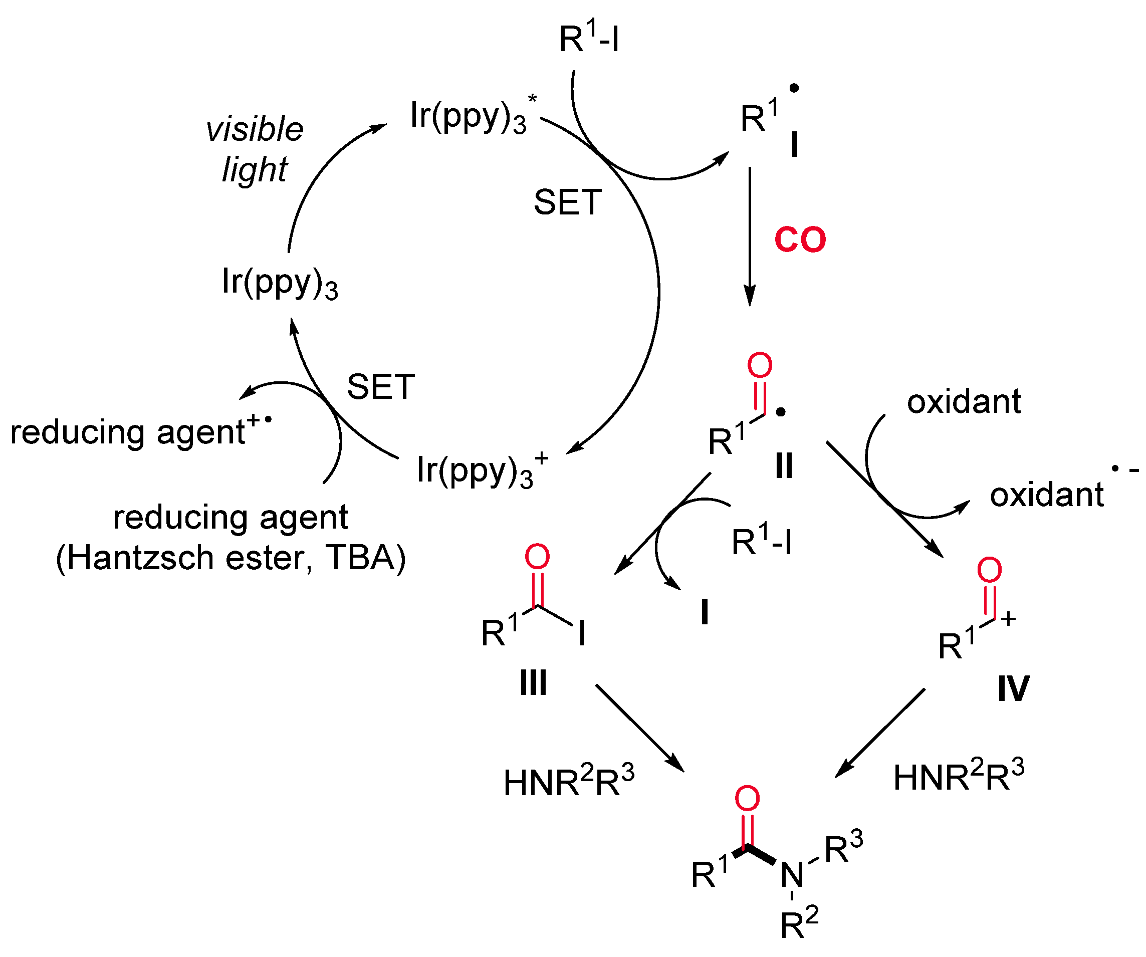 Catalysts 11 00918 sch022
