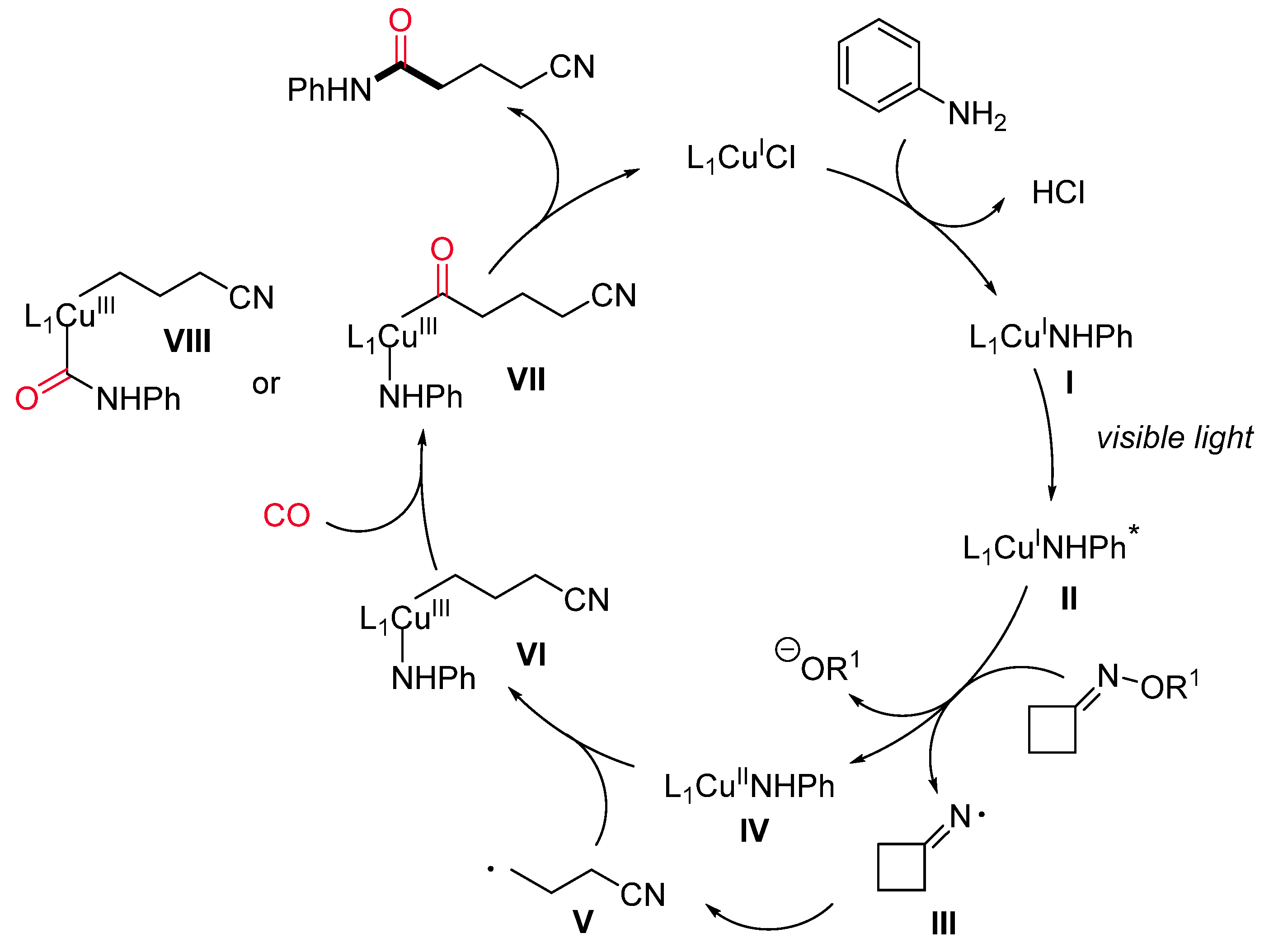 Catalysts 11 00918 sch036