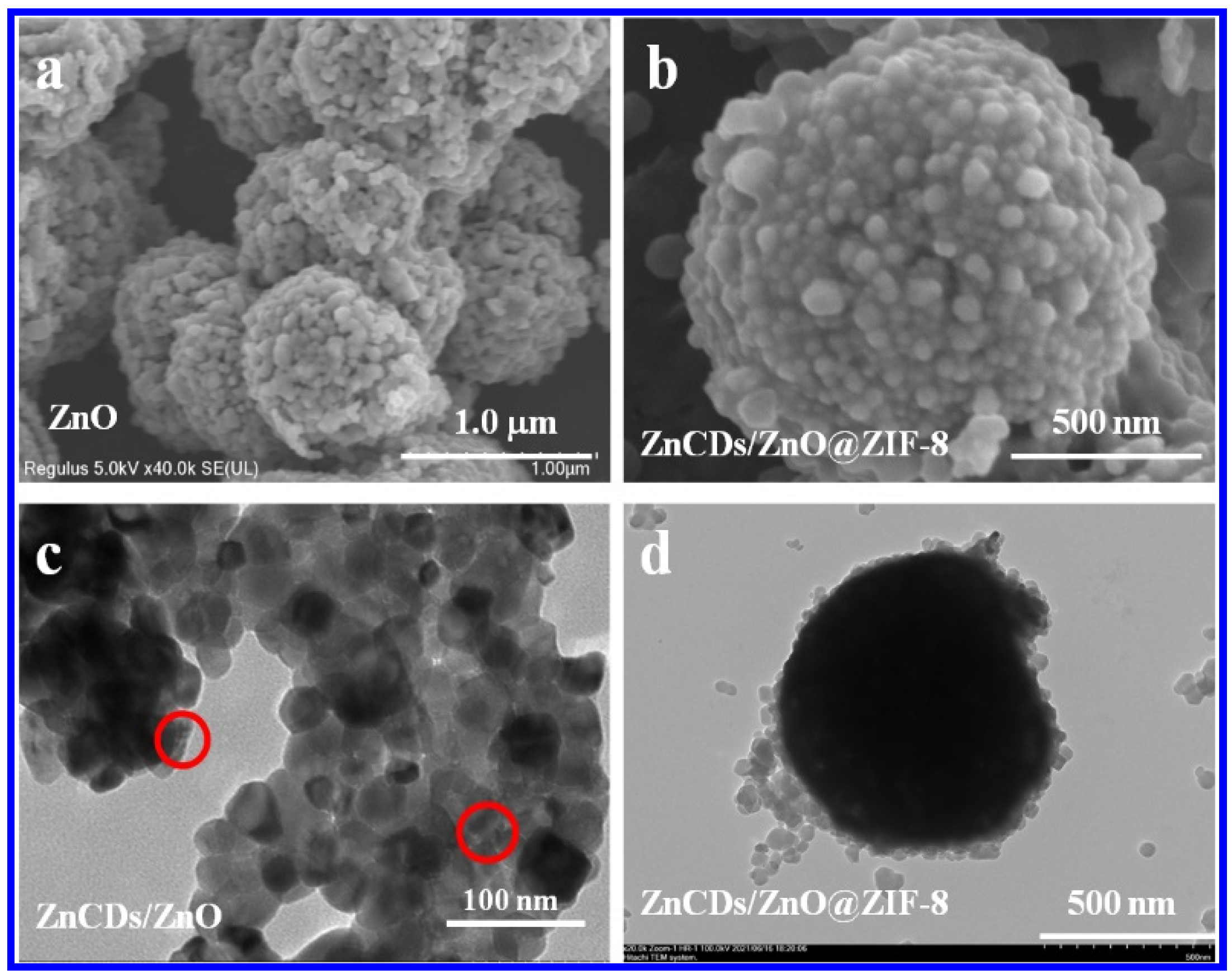 Catalysts 11 00934 g001 Catalysts 11 00934 g001