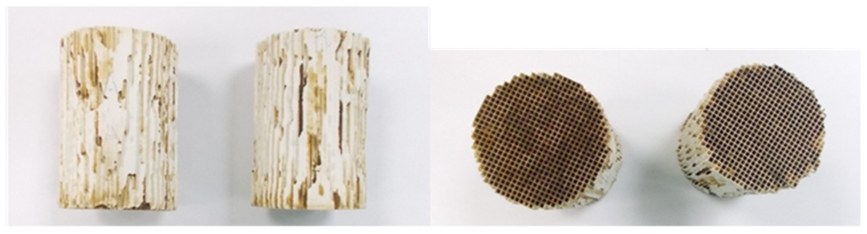 Catalysts 11 00942 g001