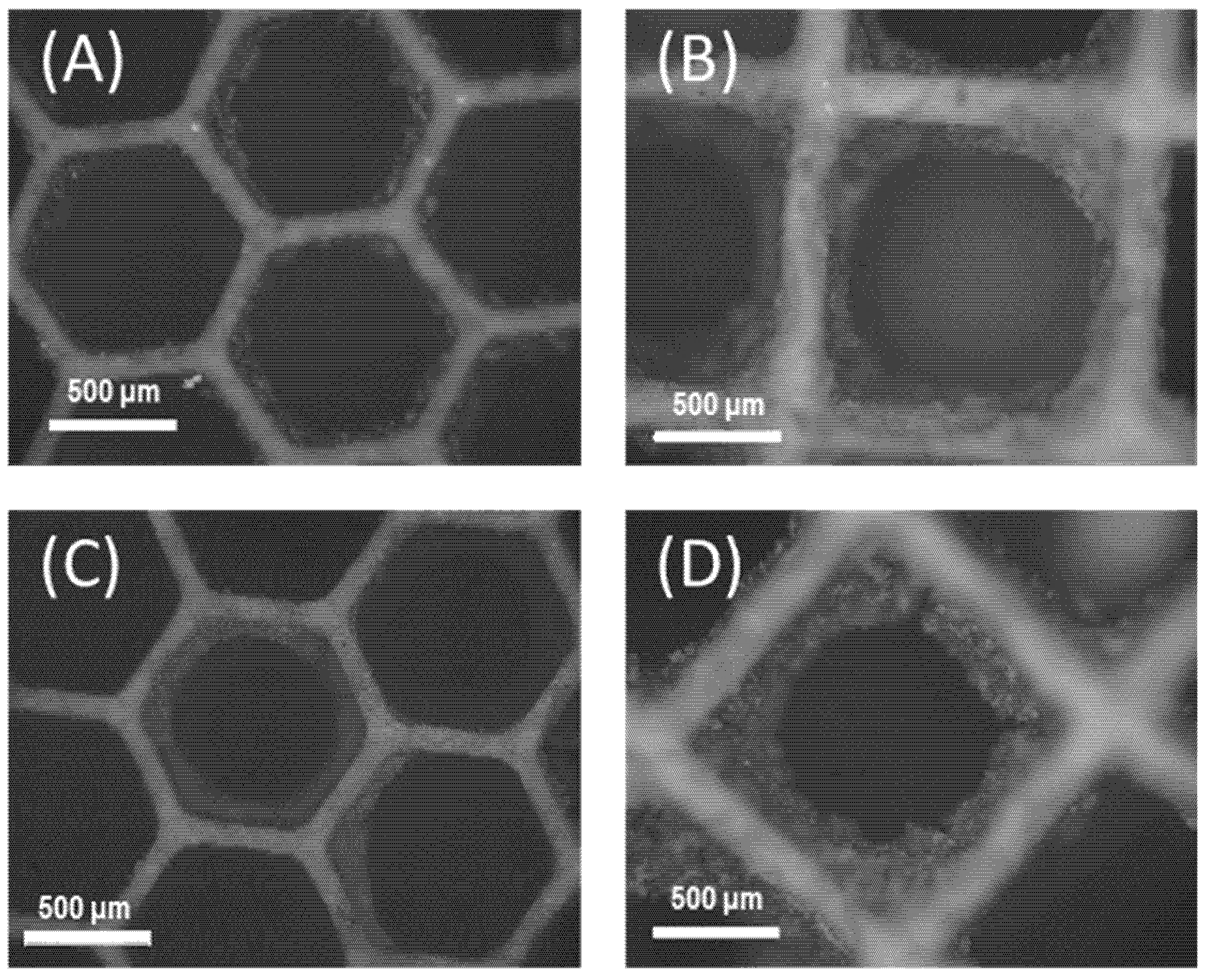 Catalysts 11 00942 g002