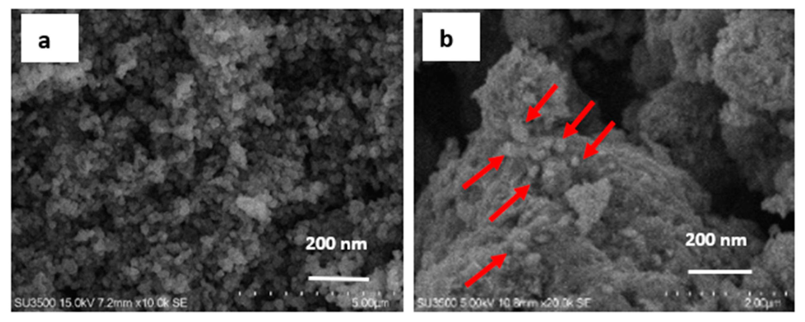 Catalysts 11 00945 g009