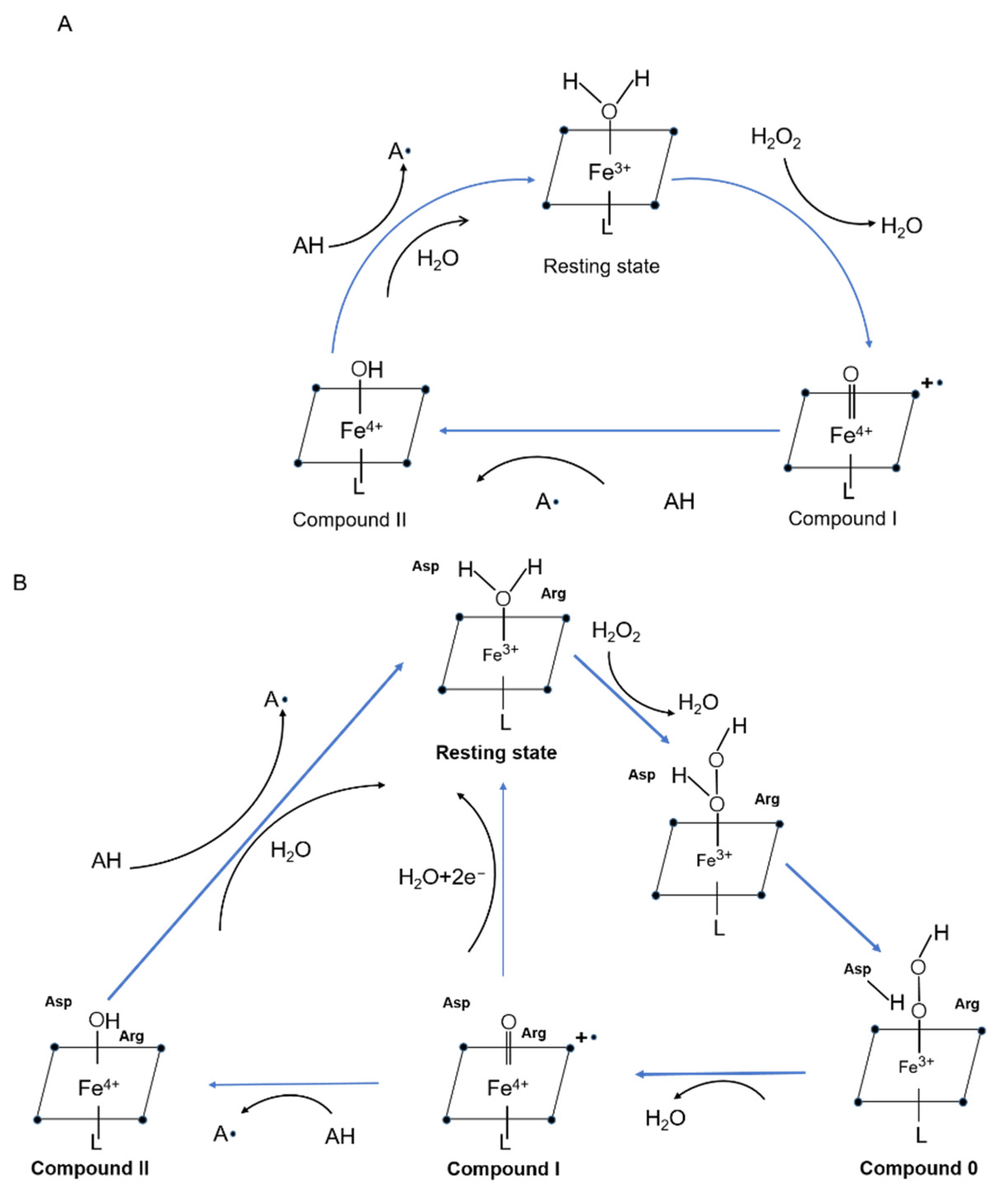Catalysts 11 00955 g002 Catalysts 11 00955 g002
