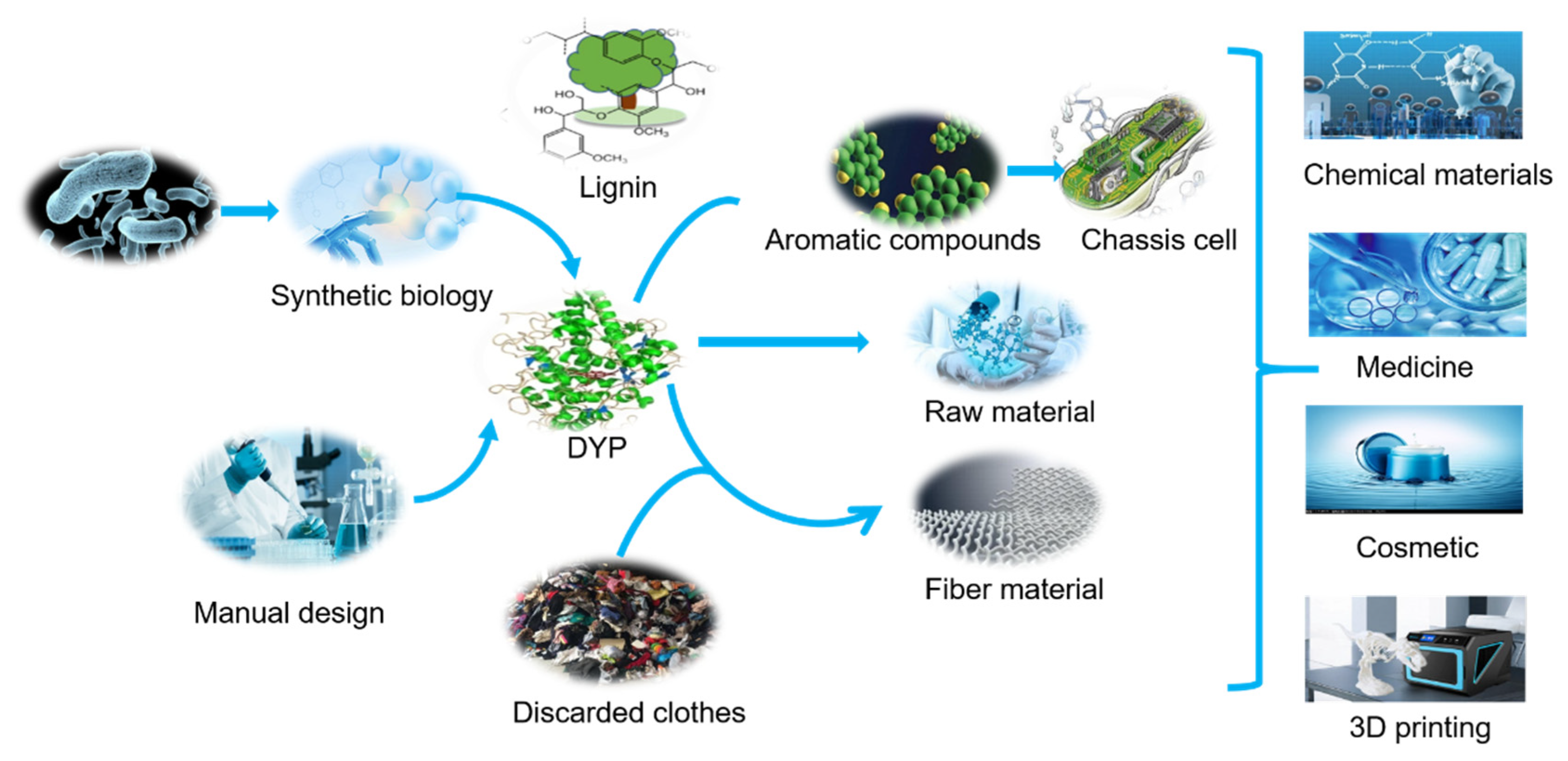 Catalysts 11 00955 g007 Catalysts 11 00955 g007