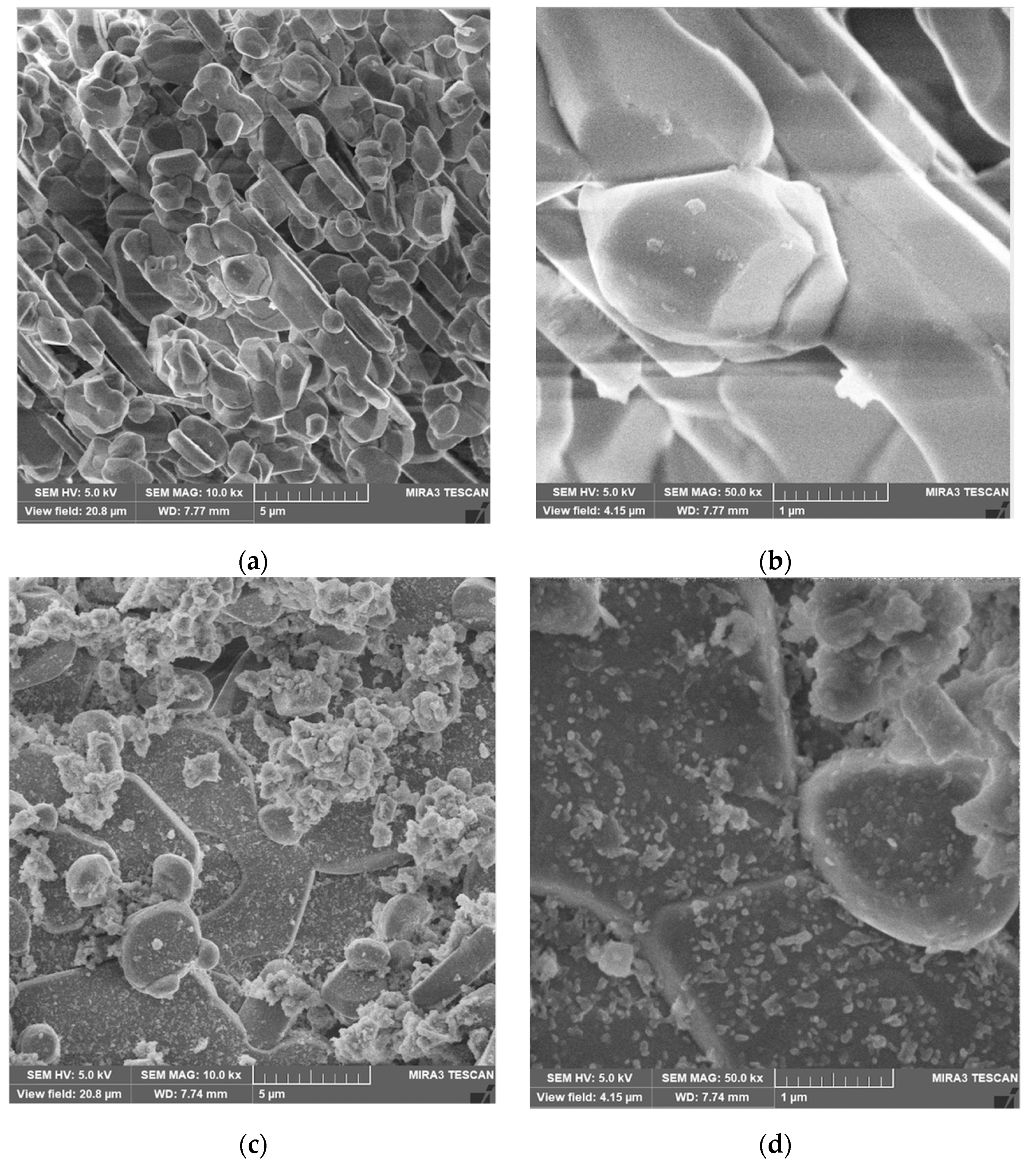 Catalysts 11 00971 g002
