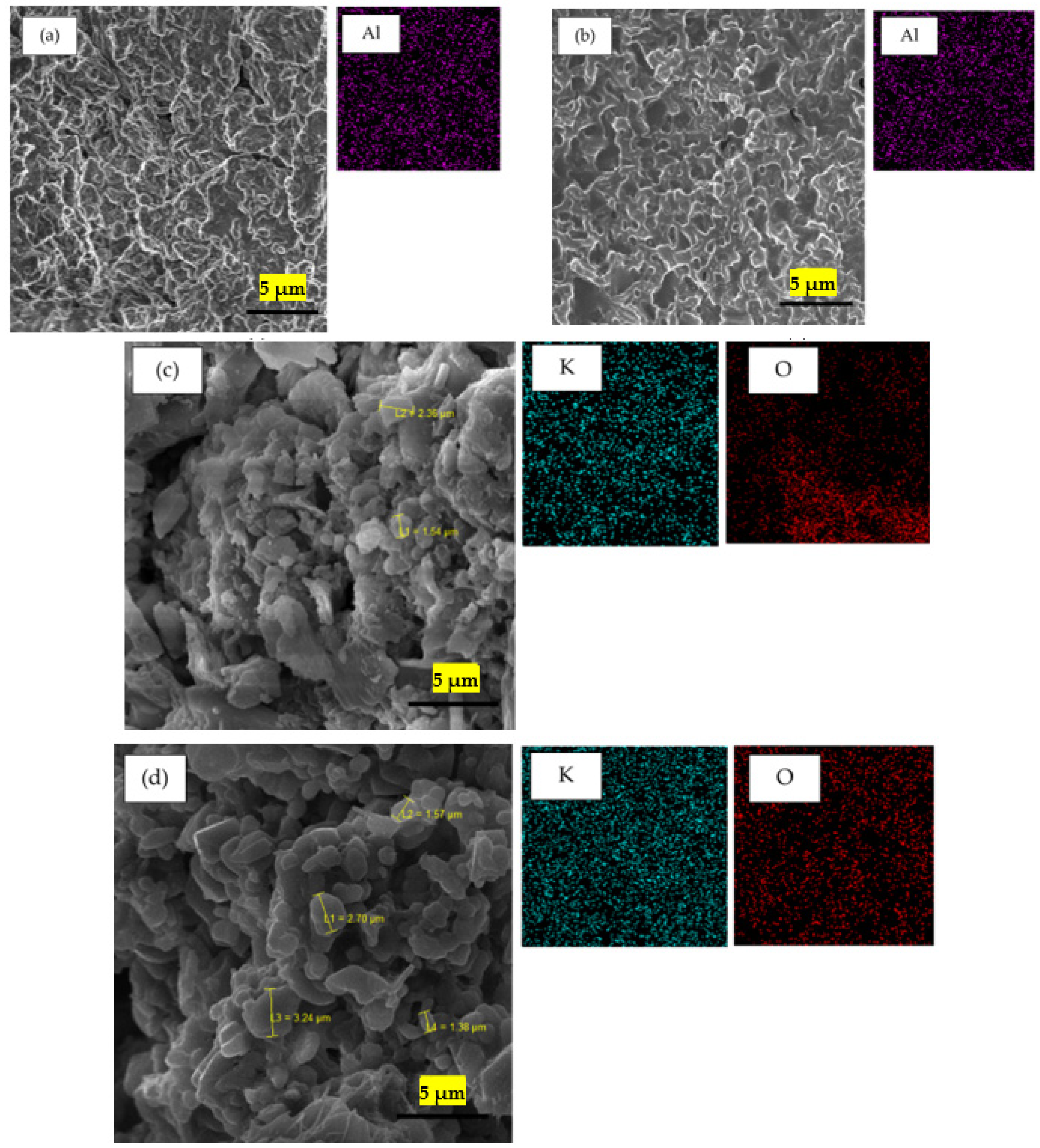 Catalysts 11 00976 g004a