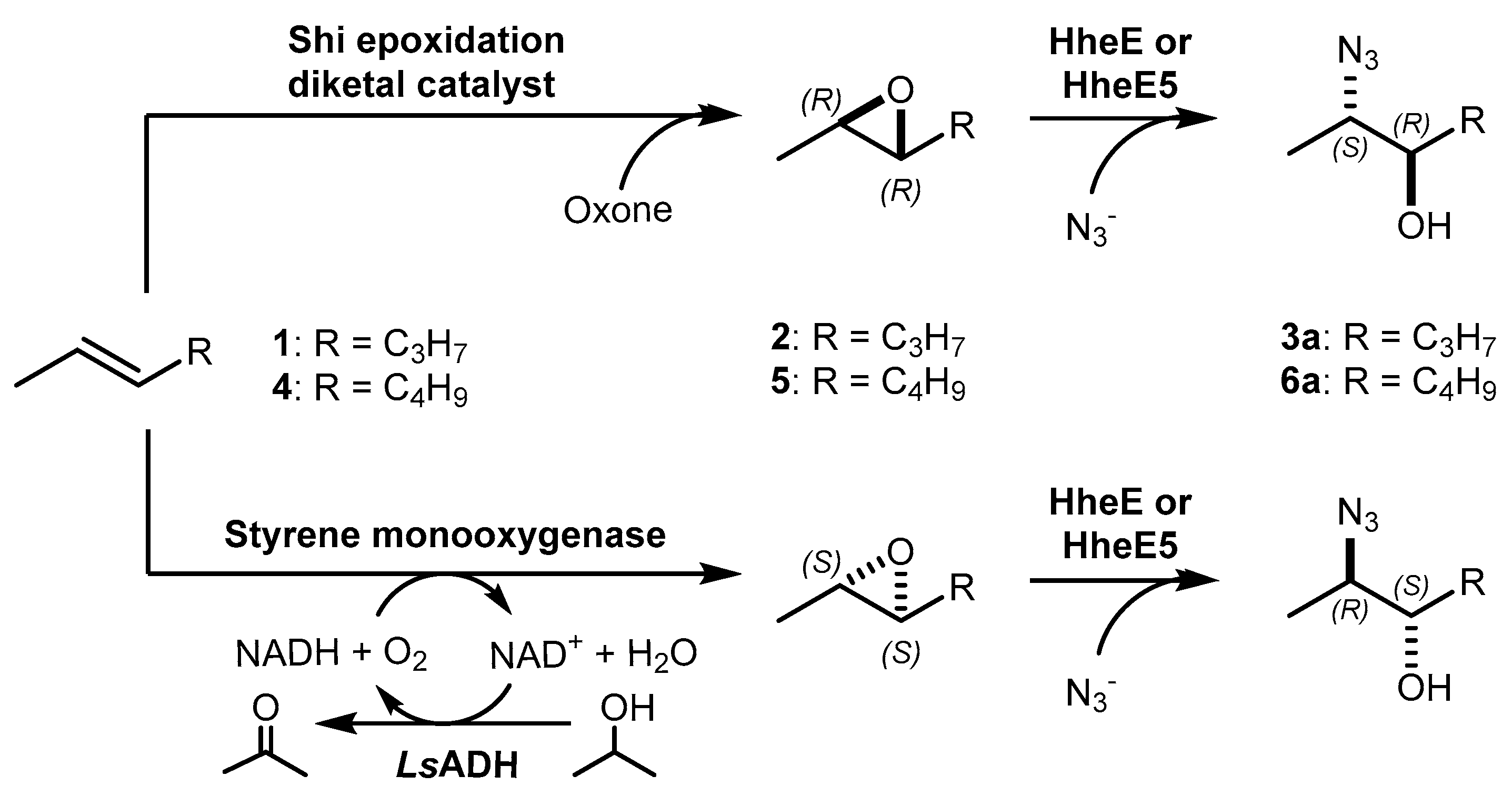 Catalysts 11 00982 sch001