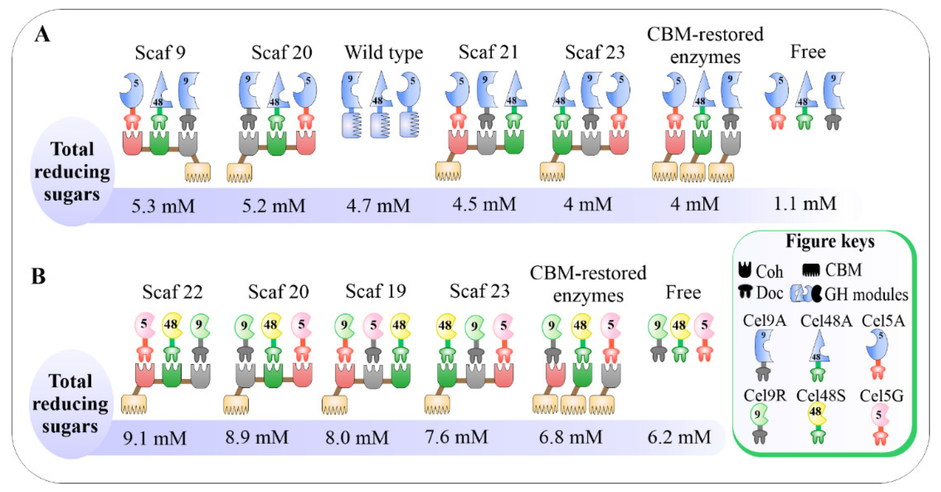 Catalysts 11 00996 g005