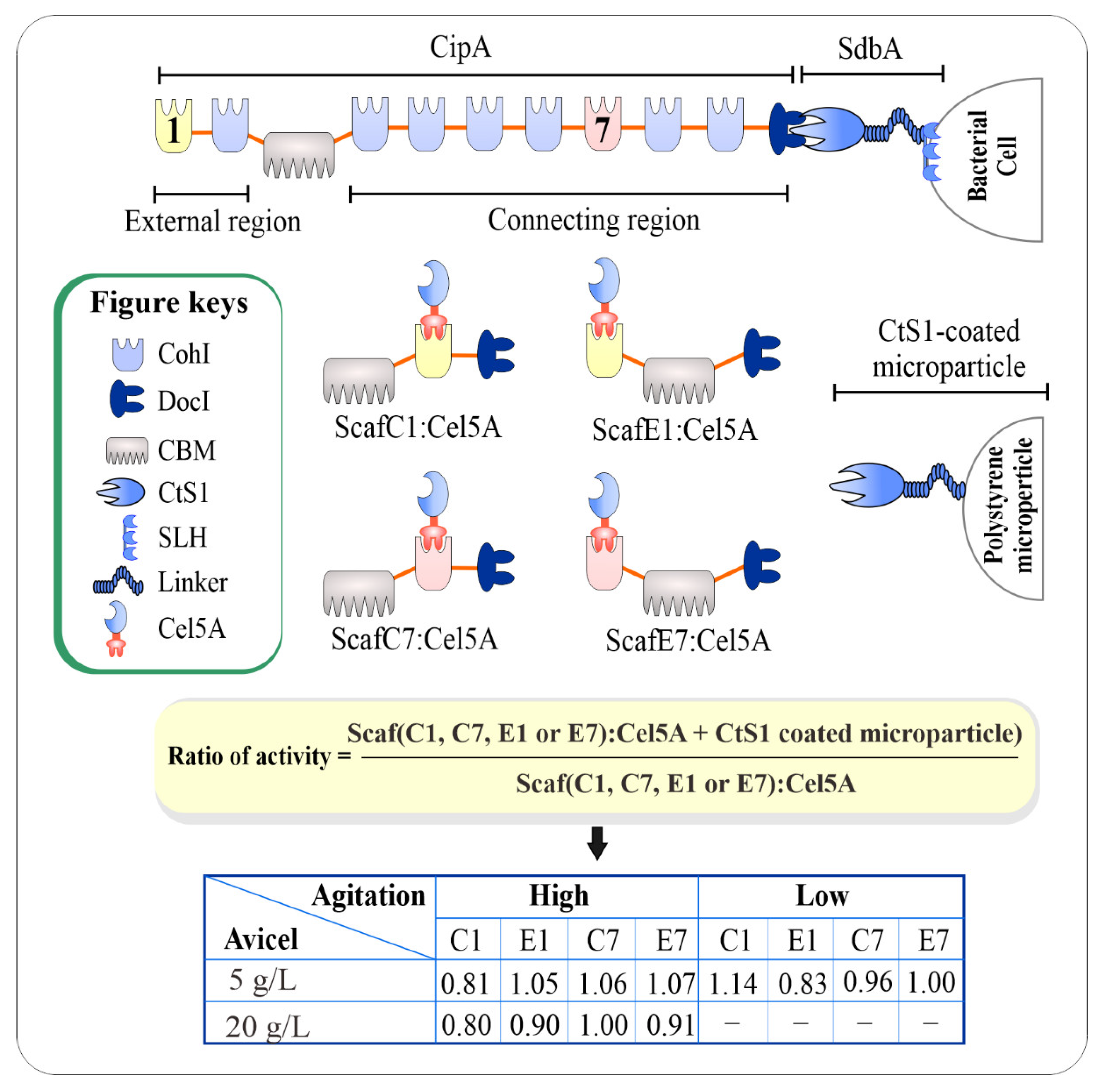 Catalysts 11 00996 g006