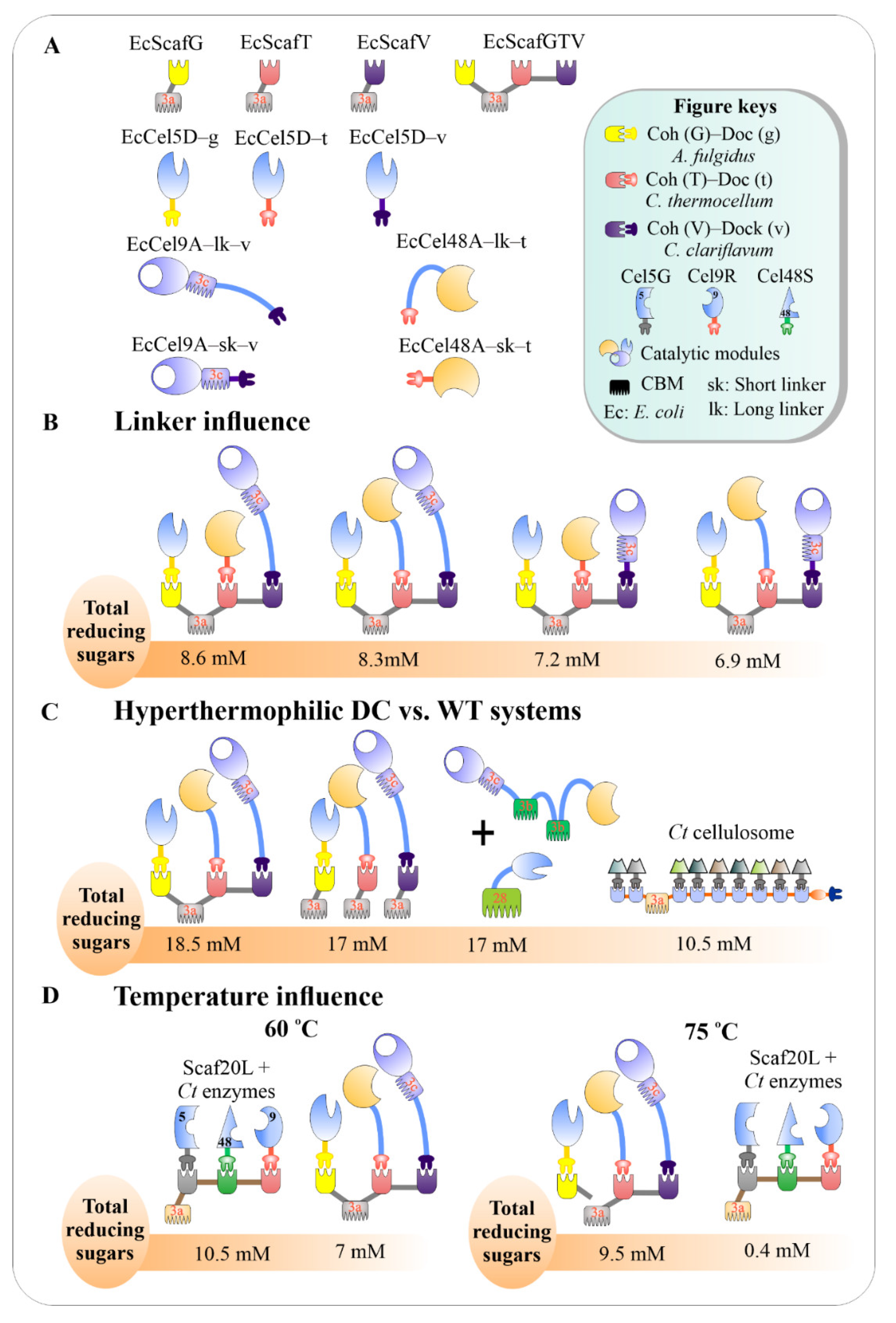 Catalysts 11 00996 g007
