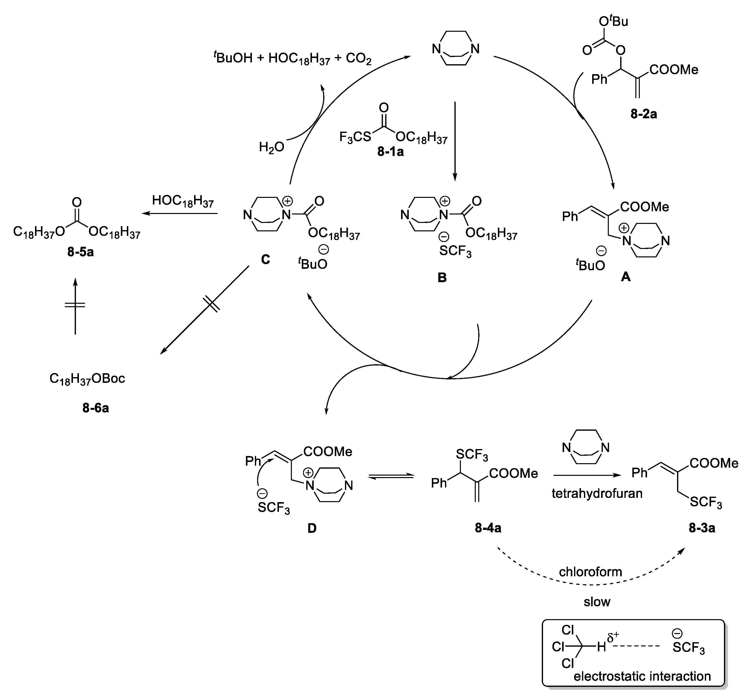 Catalysts 11 01013 sch017