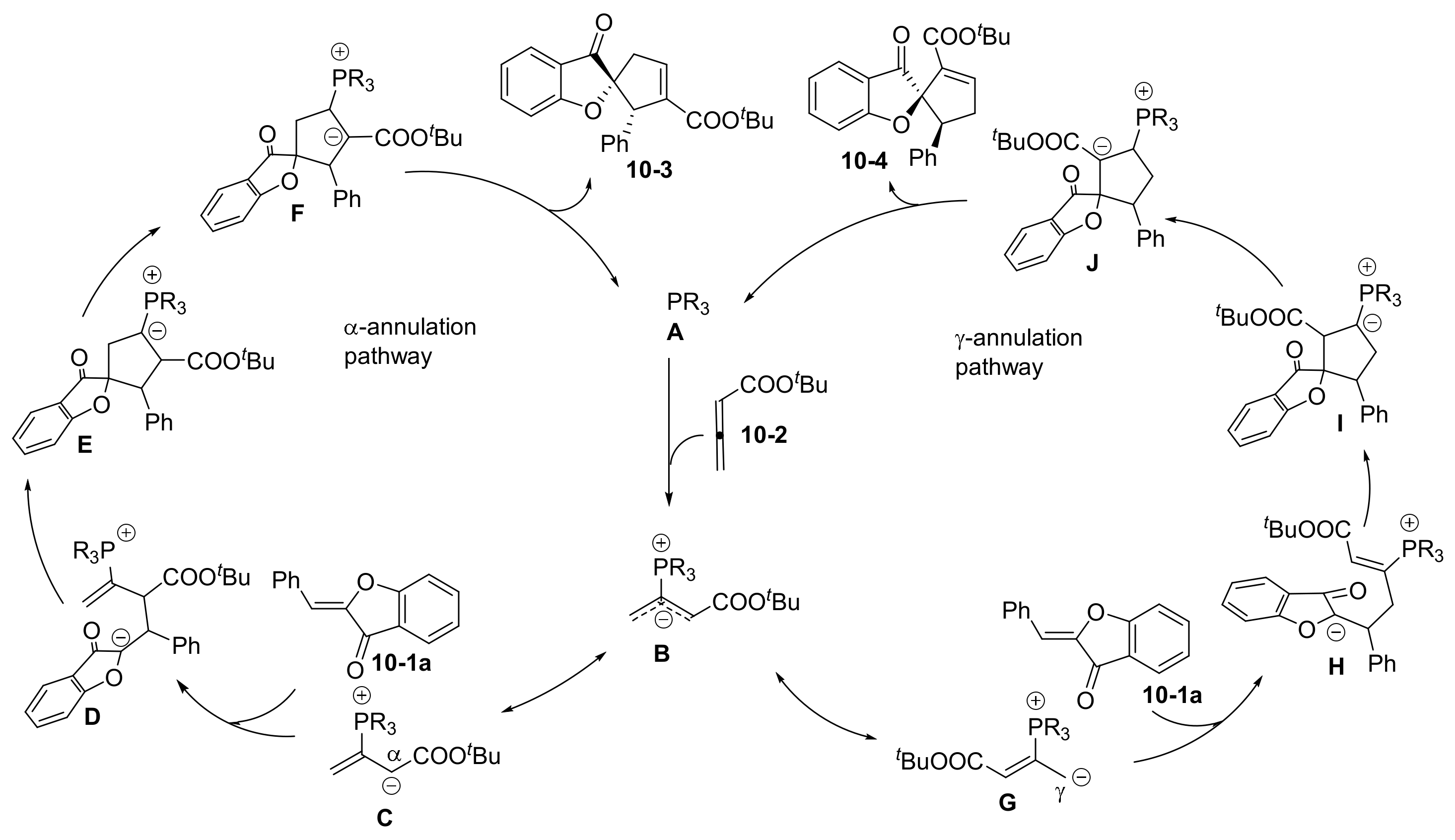 Catalysts 11 01013 sch021