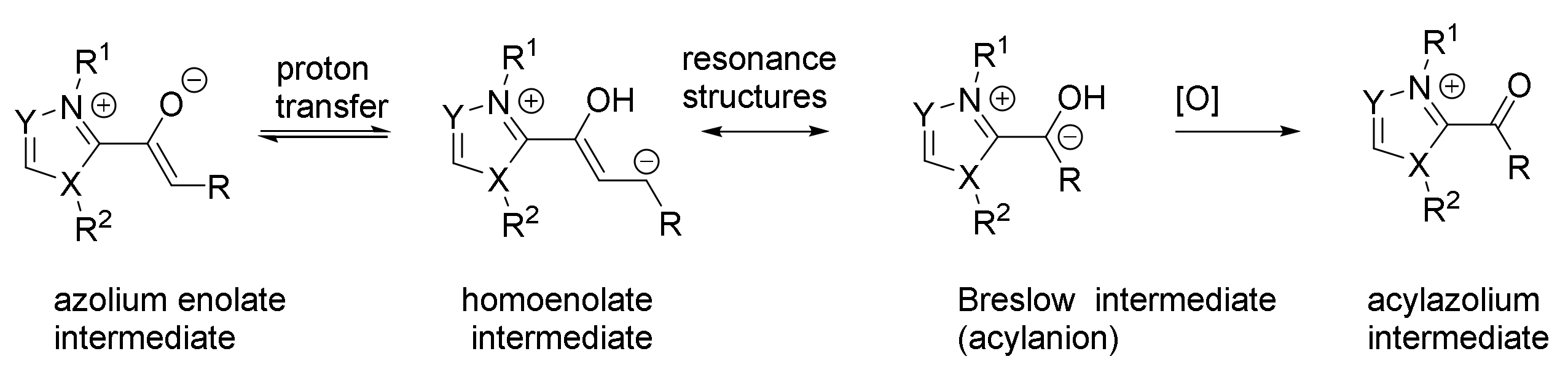Catalysts 11 01013 sch033