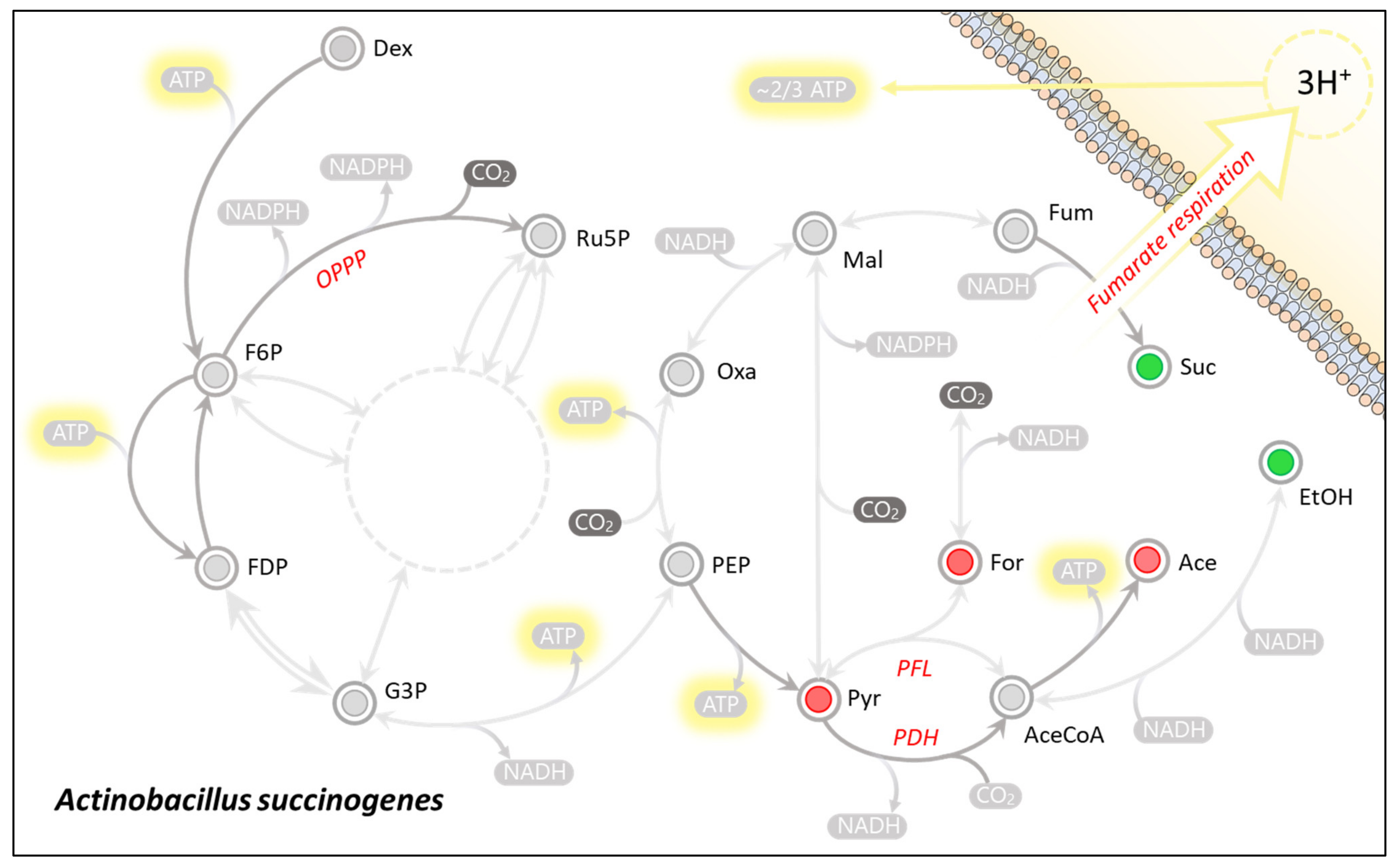 Catalysts 11 01016 g003 Catalysts 11 01016 g003